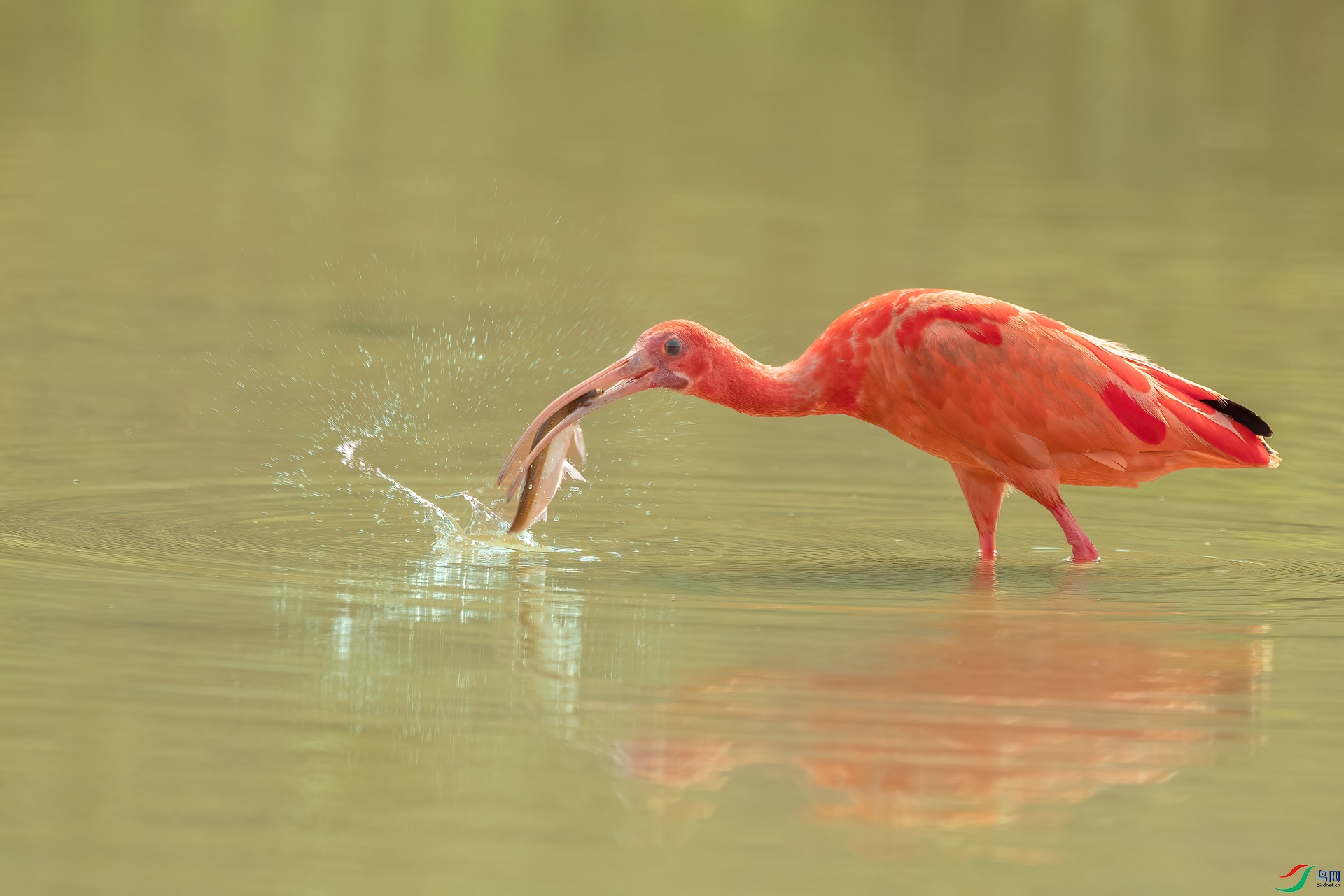 B86I5007 _����.jpg