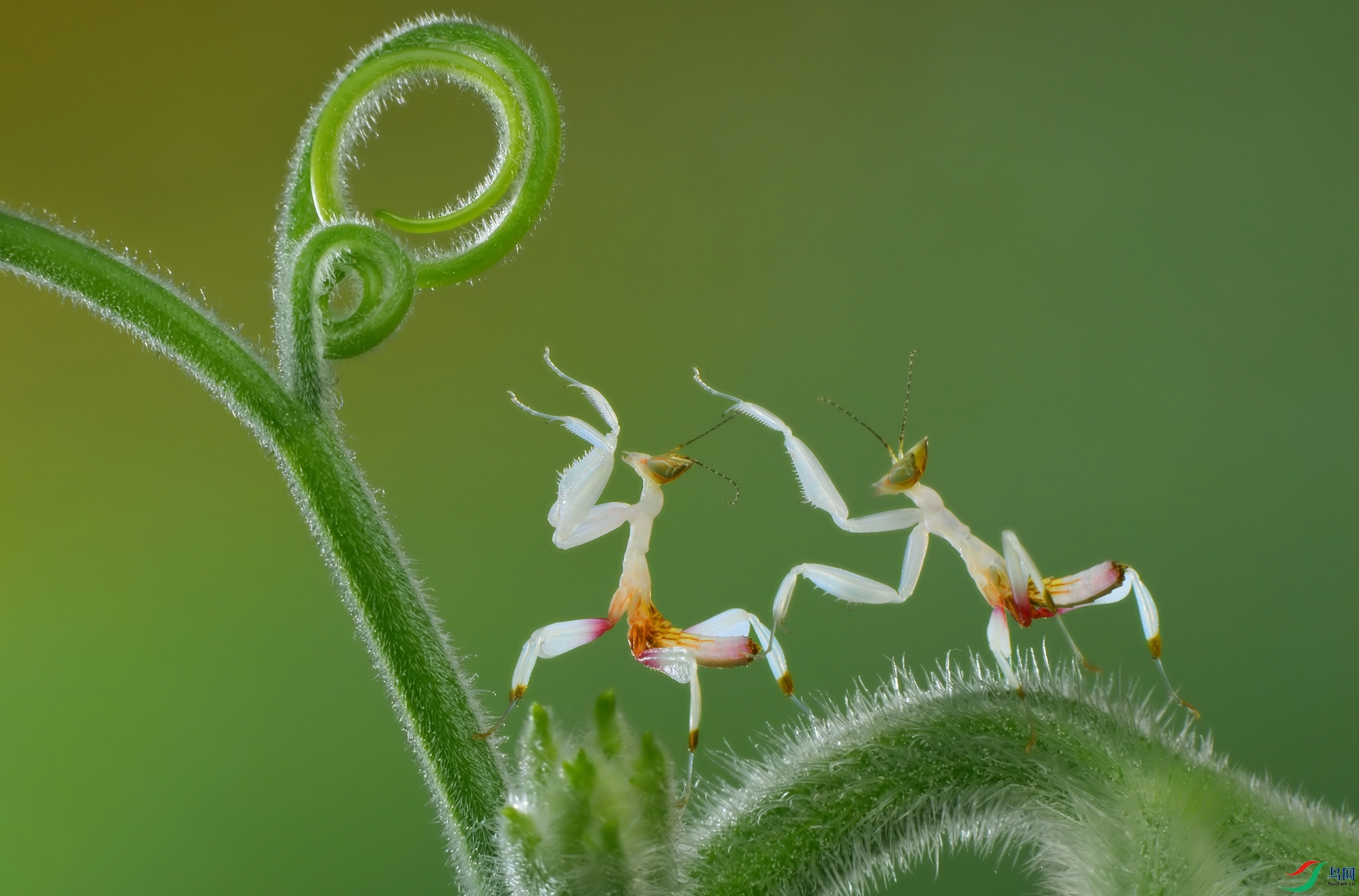 DSC_5493 ����.jpg