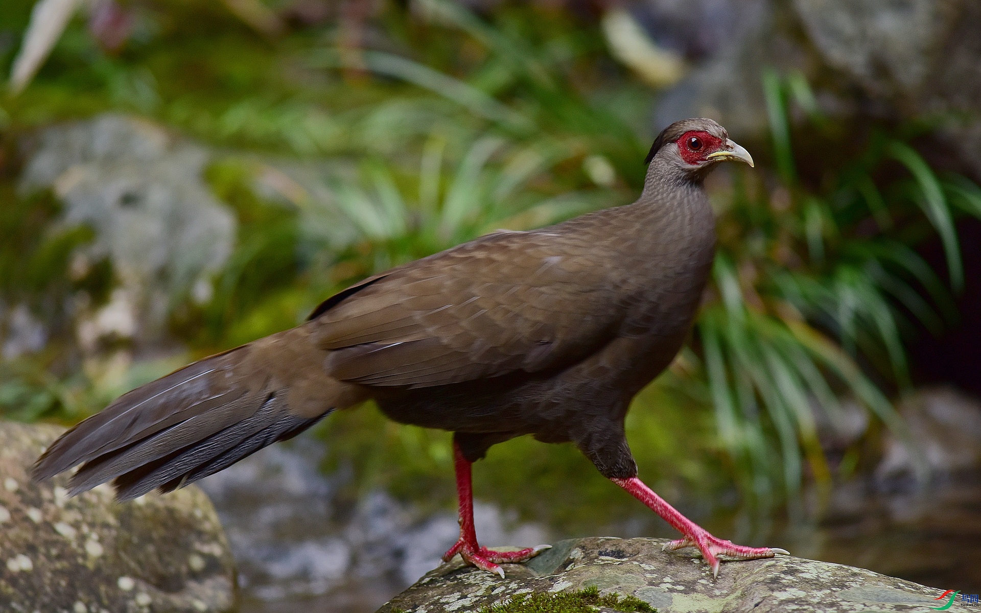 D8I_0385.jpg