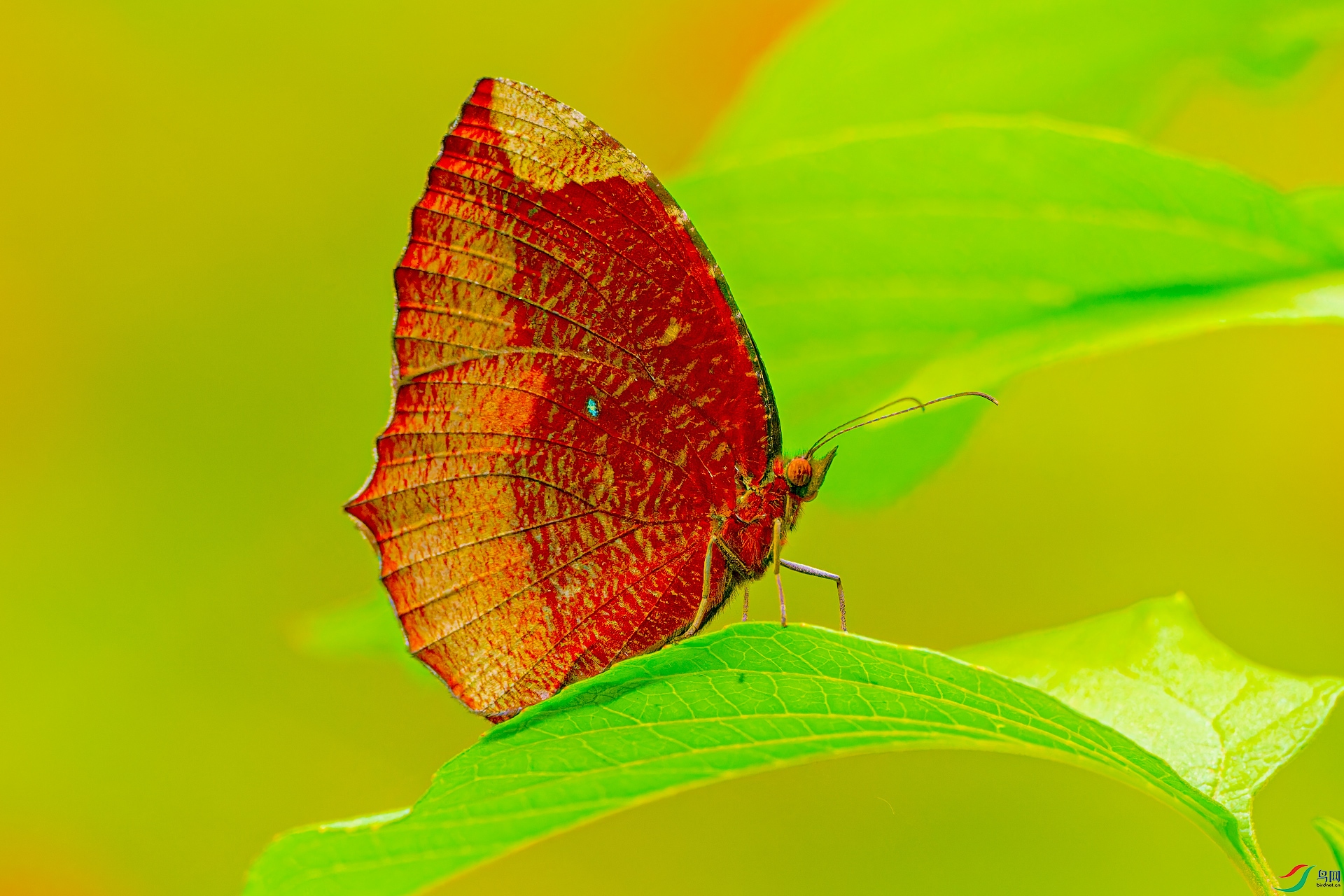z.11��LPY_5700.jpg