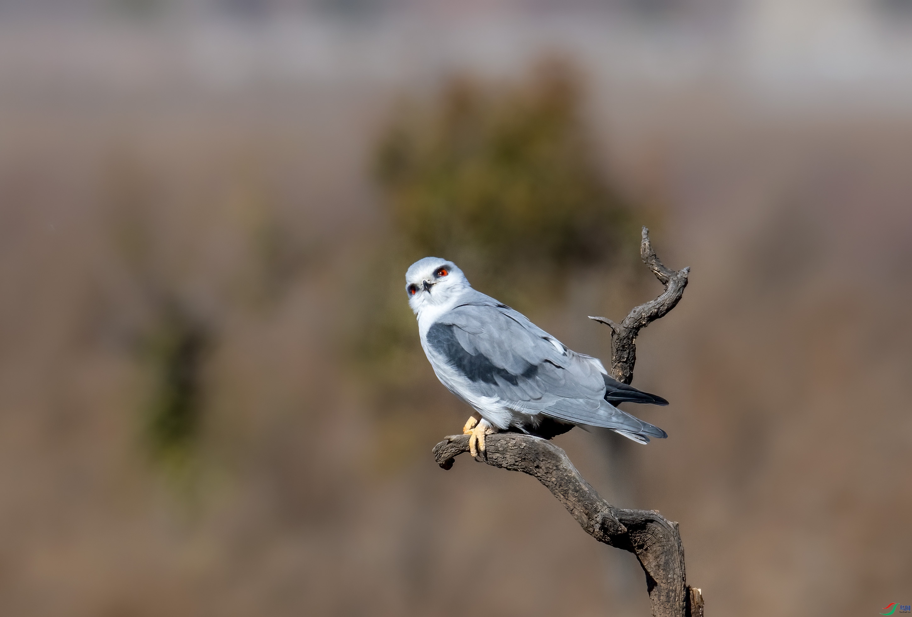 DSC_7643.jpg