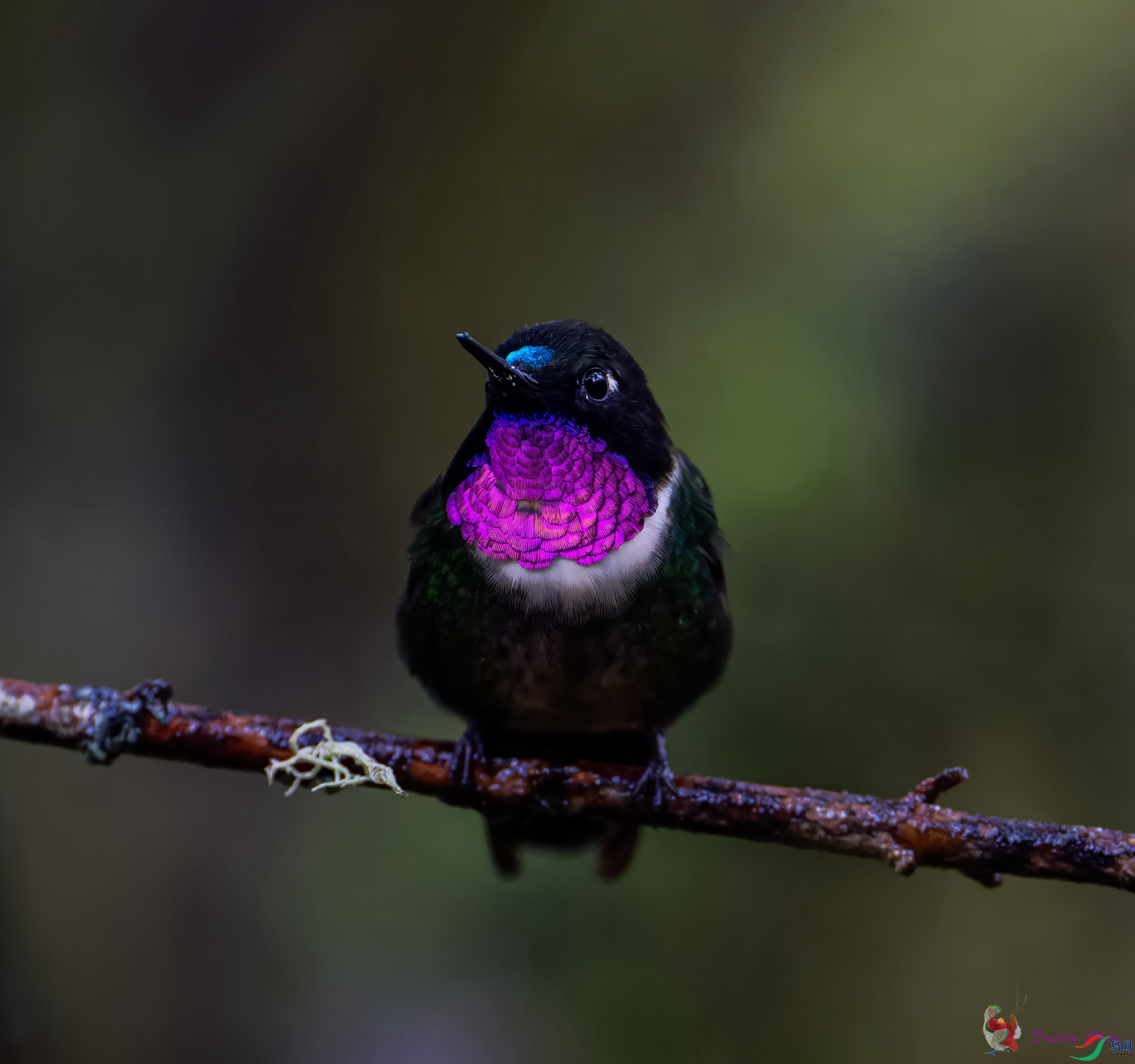 �Һ������