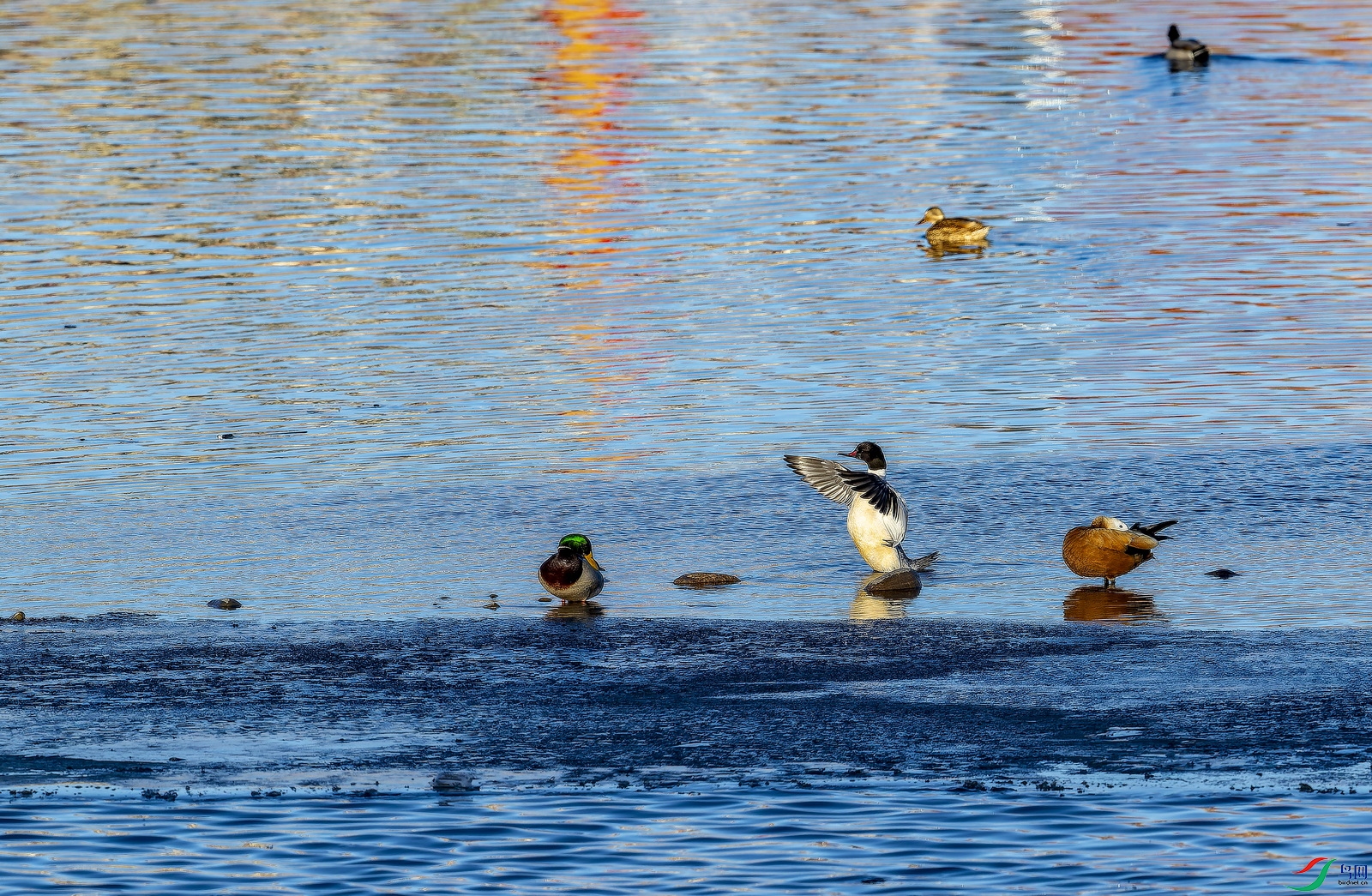 ̫�������� (2).jpg