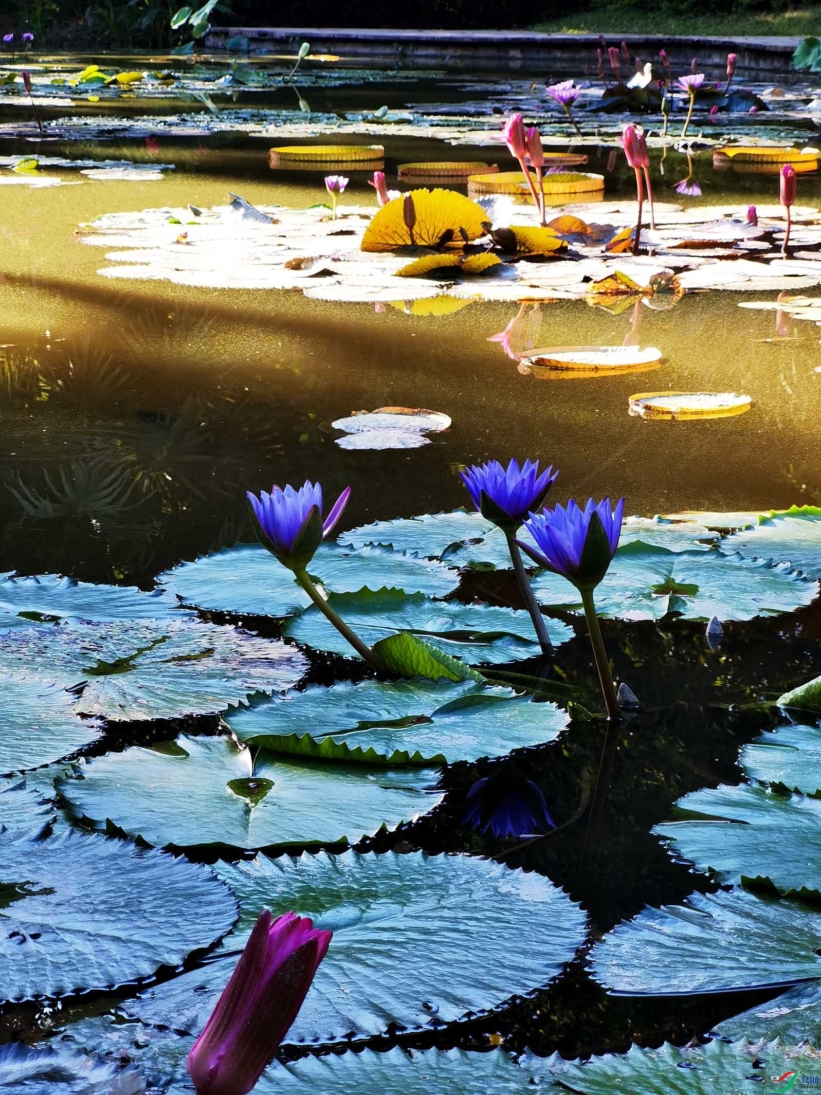 IMG_20221123_163912_����.jpg