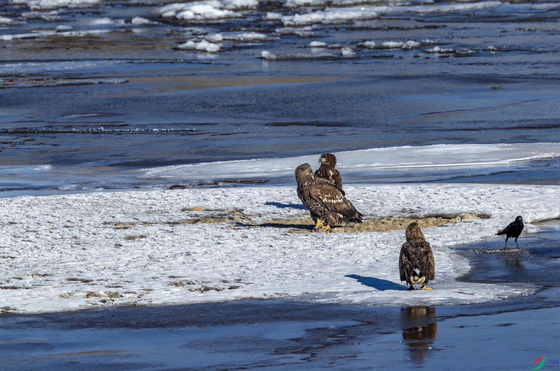 ��β����һ�� (4).jpg