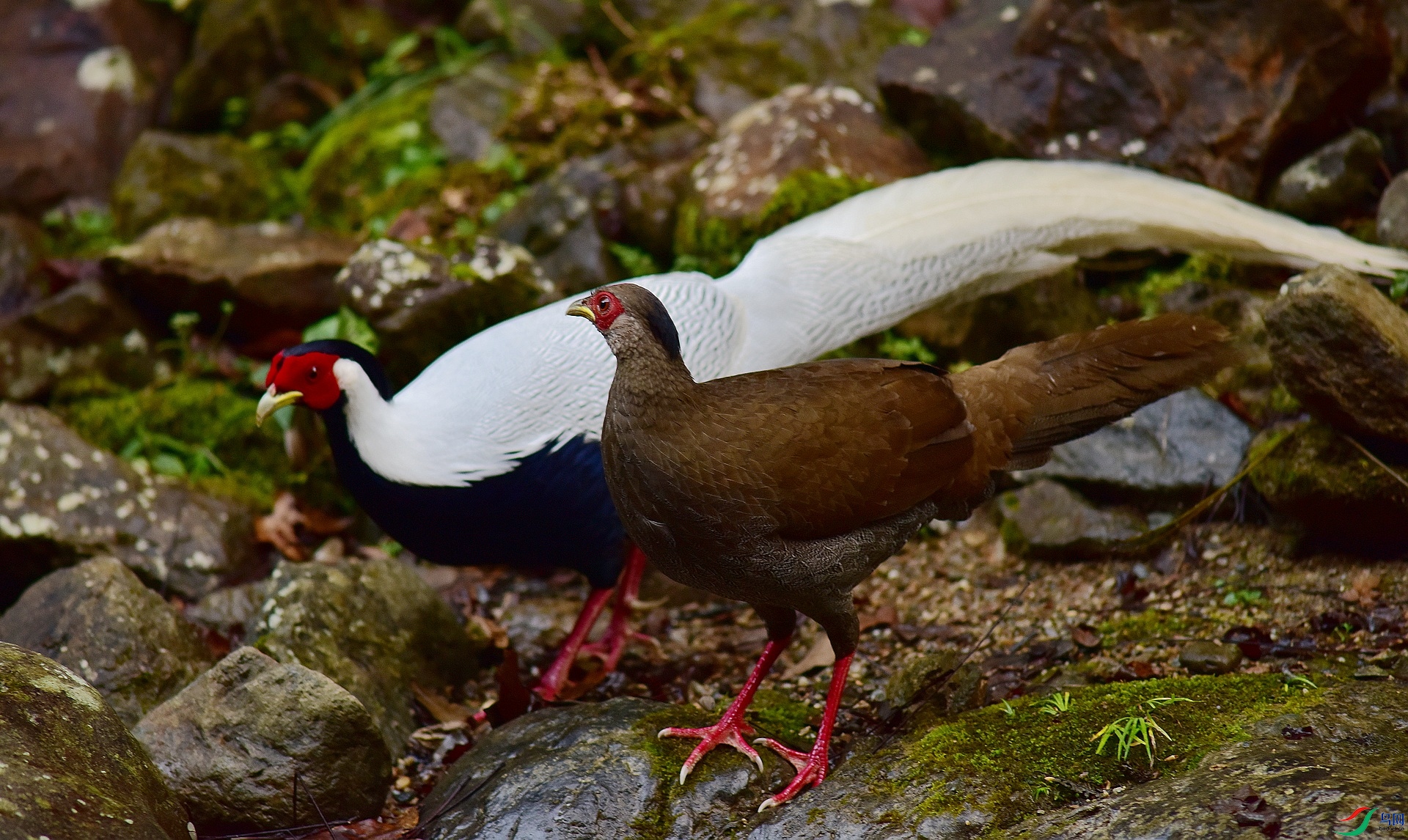 D8I_0380.jpg