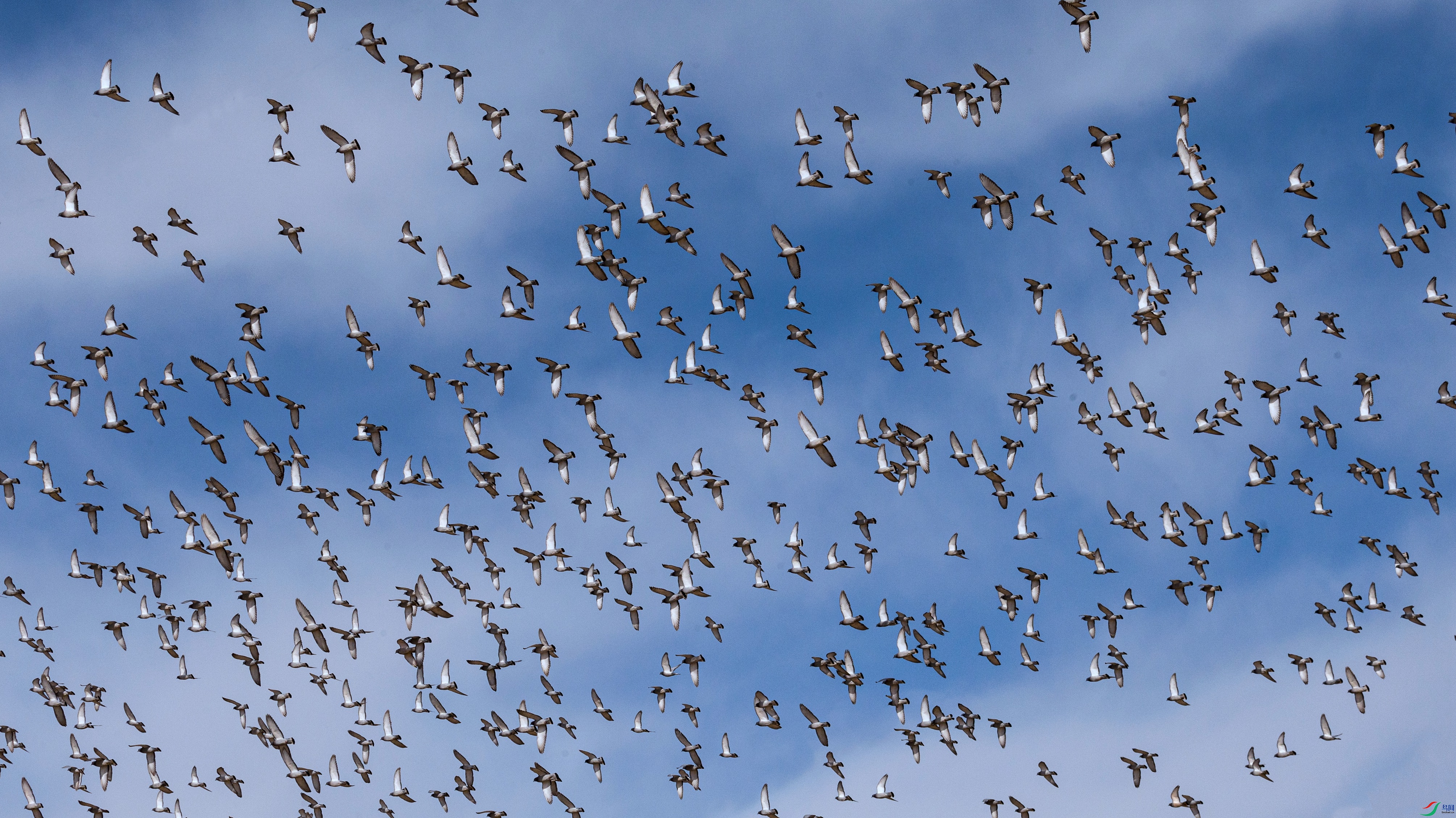 7X5A5356 - ����.jpg