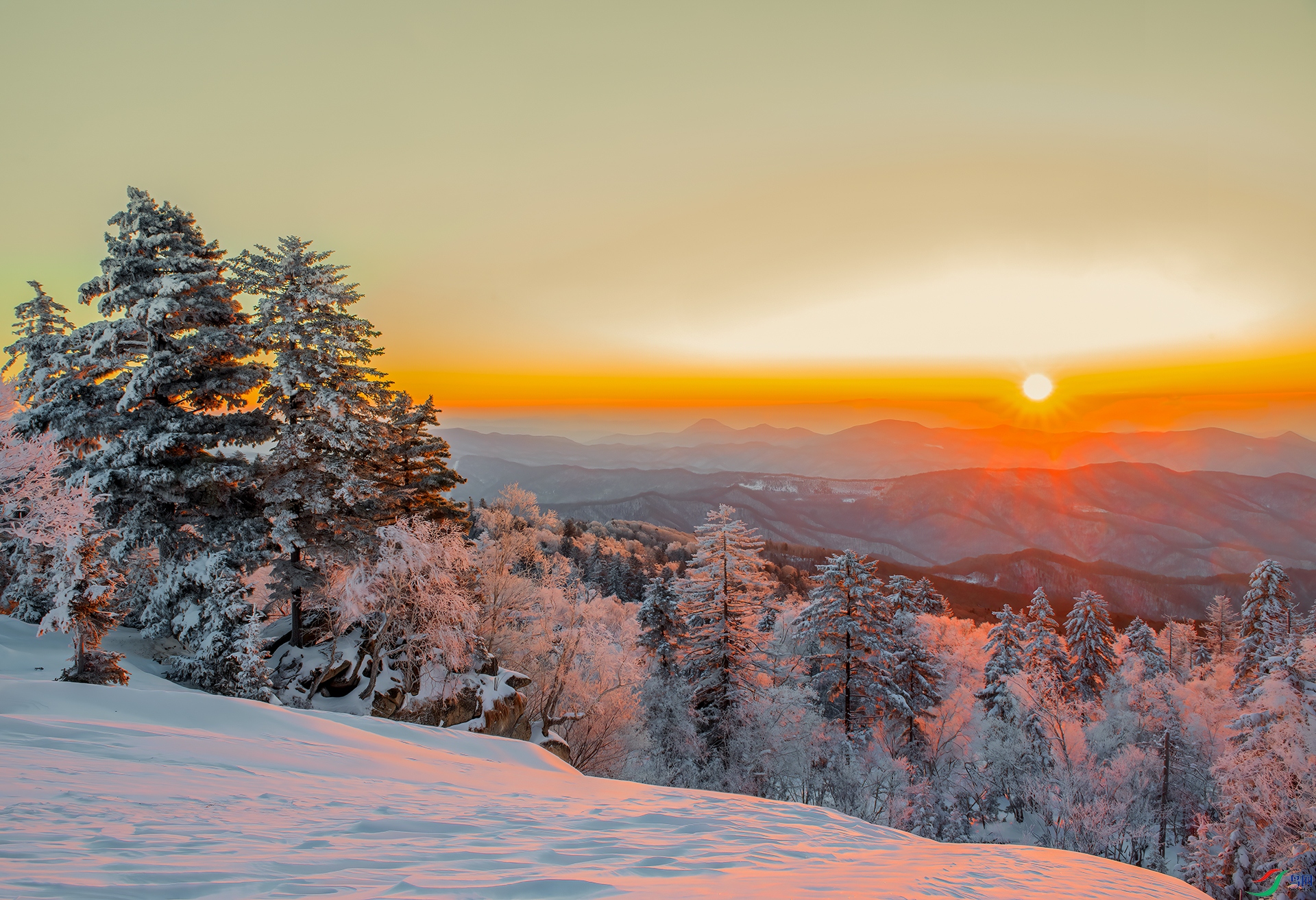 _DSC3669 - ����ů��.jpg