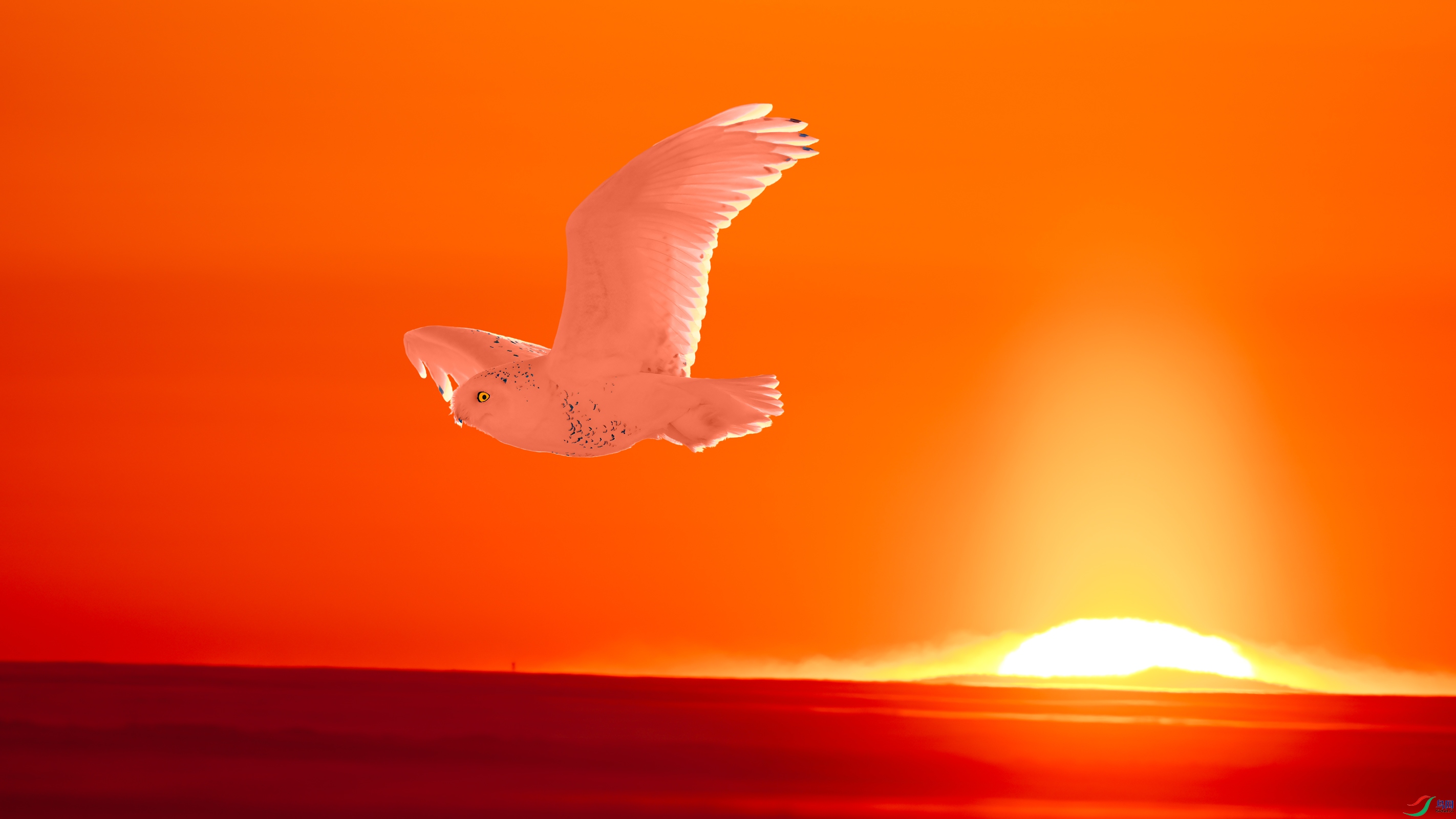 ѩ�^�����䣩DSC_7974.jpg