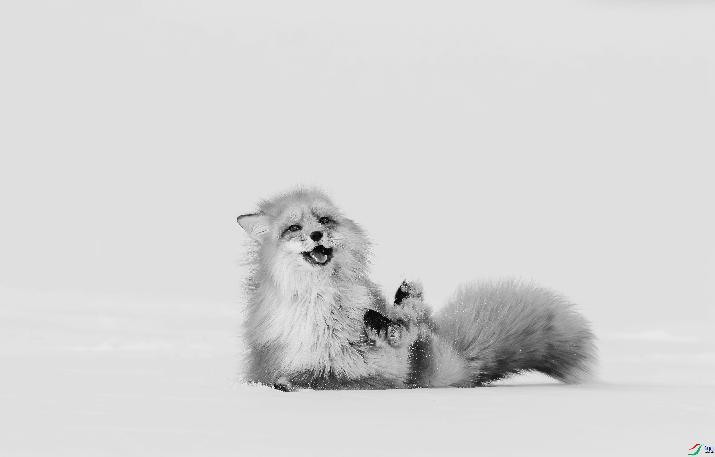 AC3I1695 ����_����.jpg