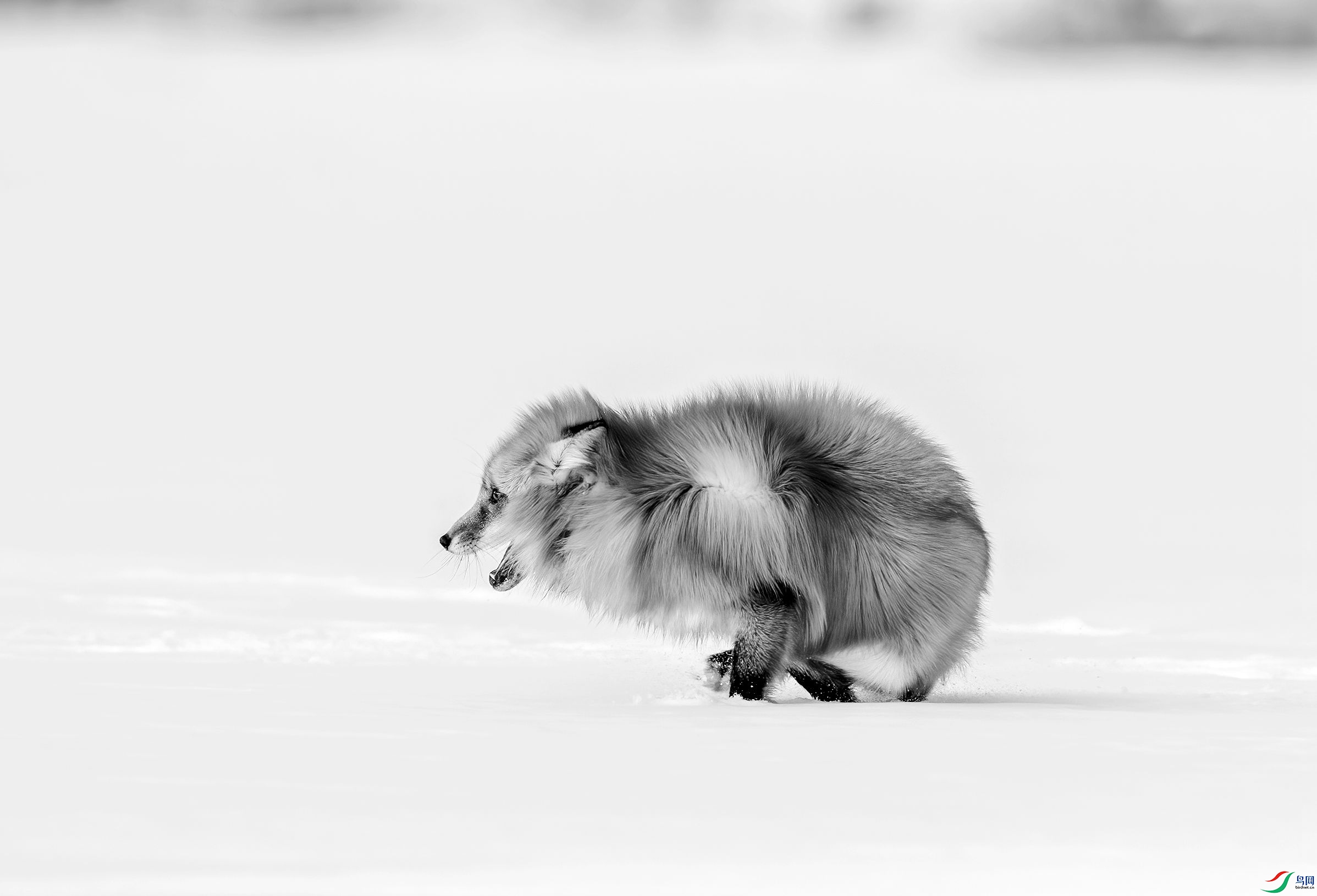 AC3I1691 ����_����.jpg