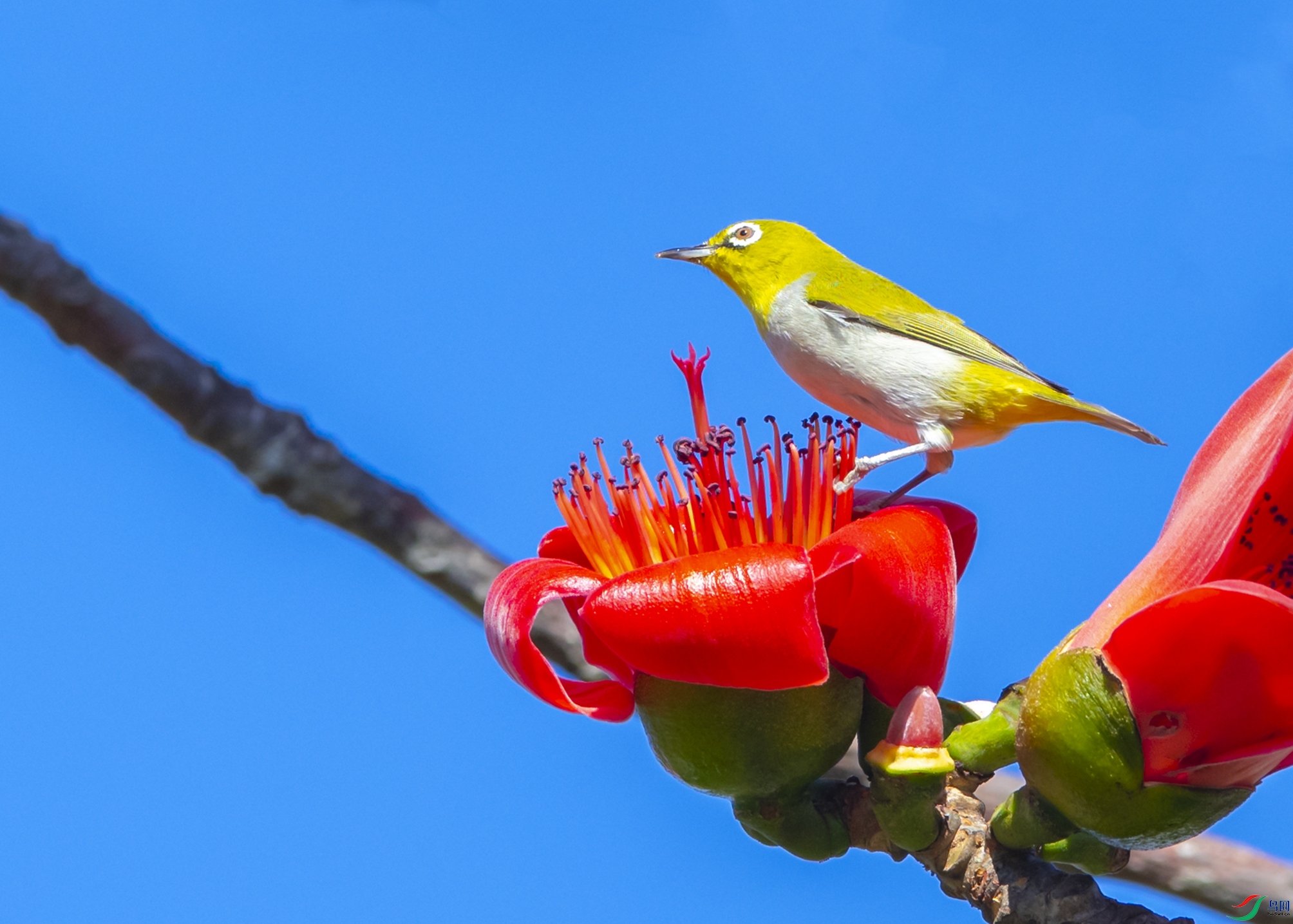 9755 ����.jpg