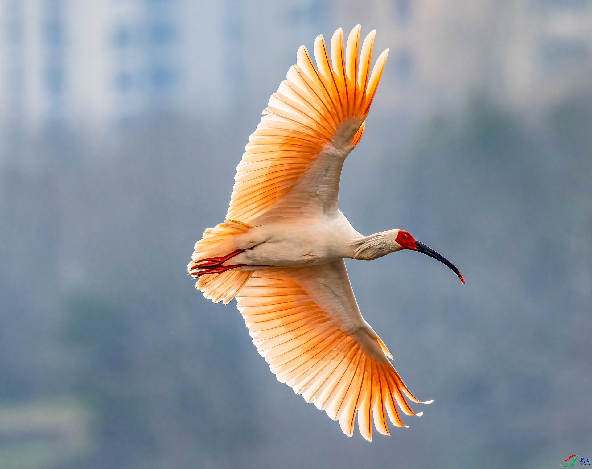 DSC_0668 ����_����.jpg