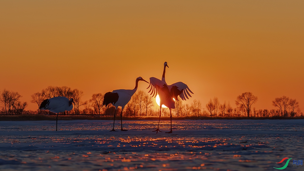 hljzlR231210 (834).jpg