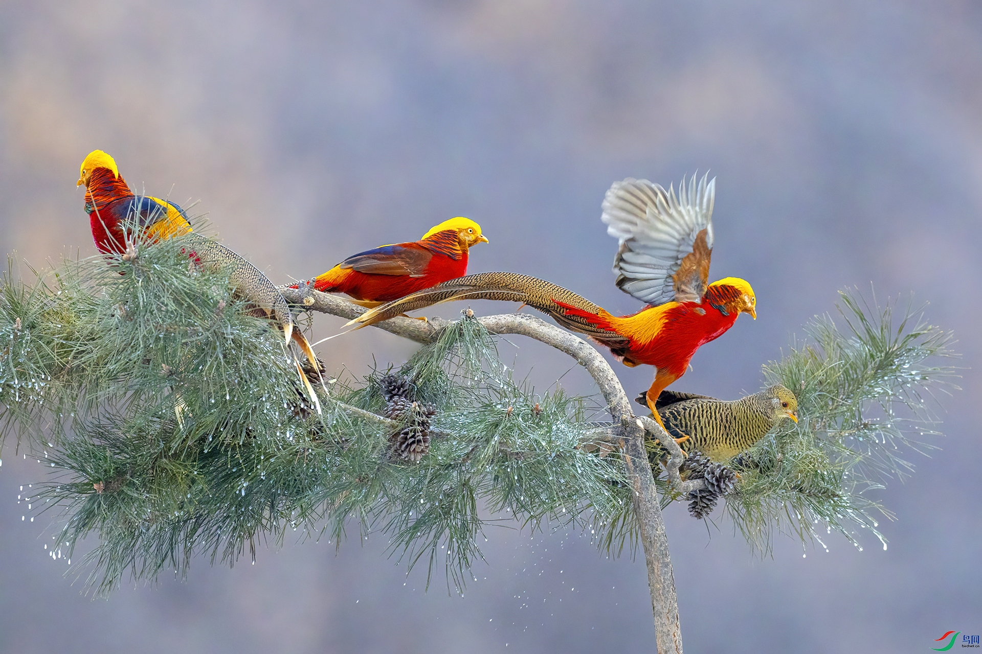 �츹����114����ӭ��.jpg