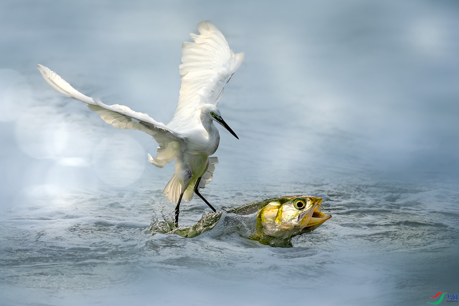 LZW08750-����ǿ-NR-1 ����.jpg