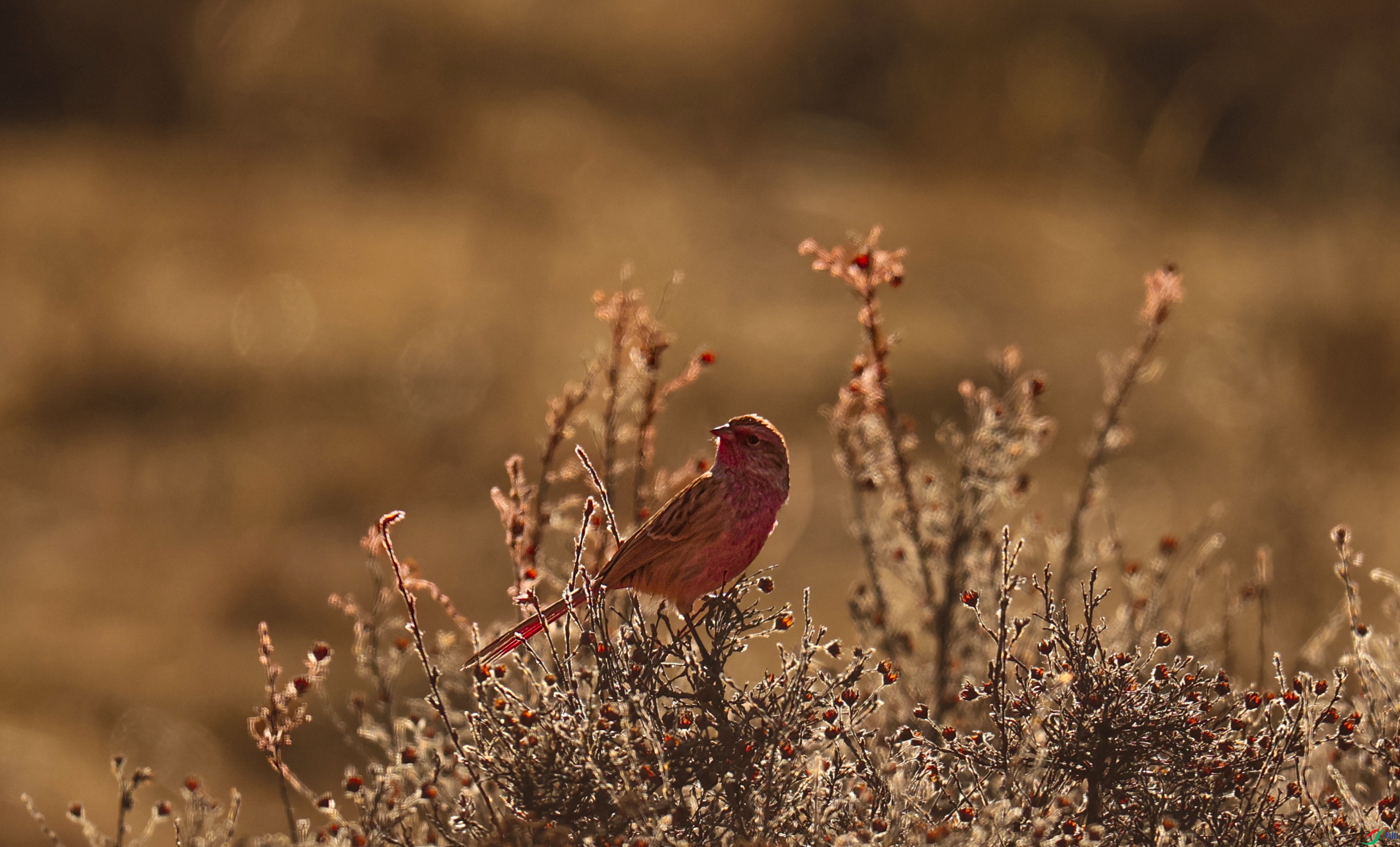 7X5A7630 - ����.JPG