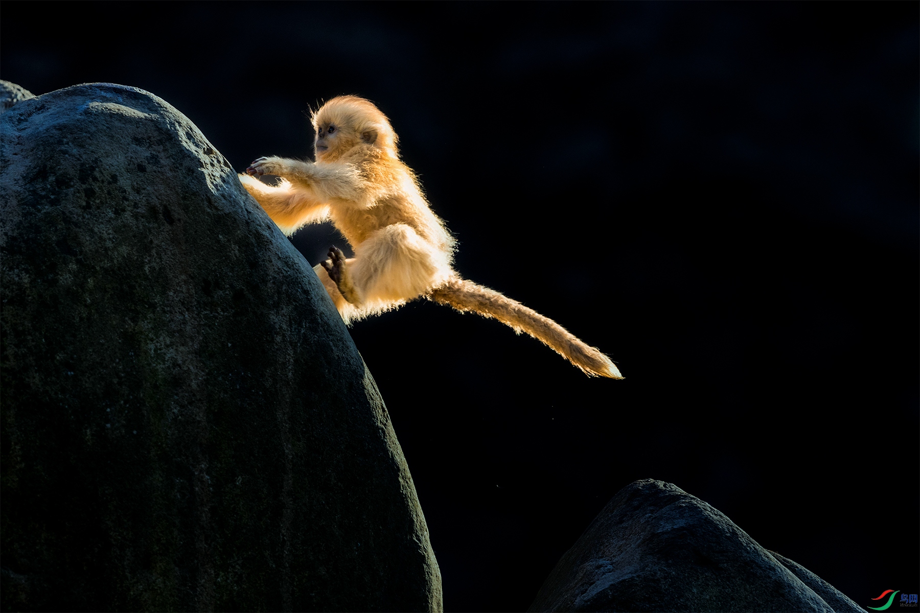 ��˿��----���ʸ߷�