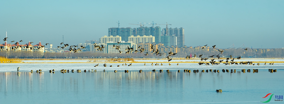 20220319 (300)-Pano.jpg