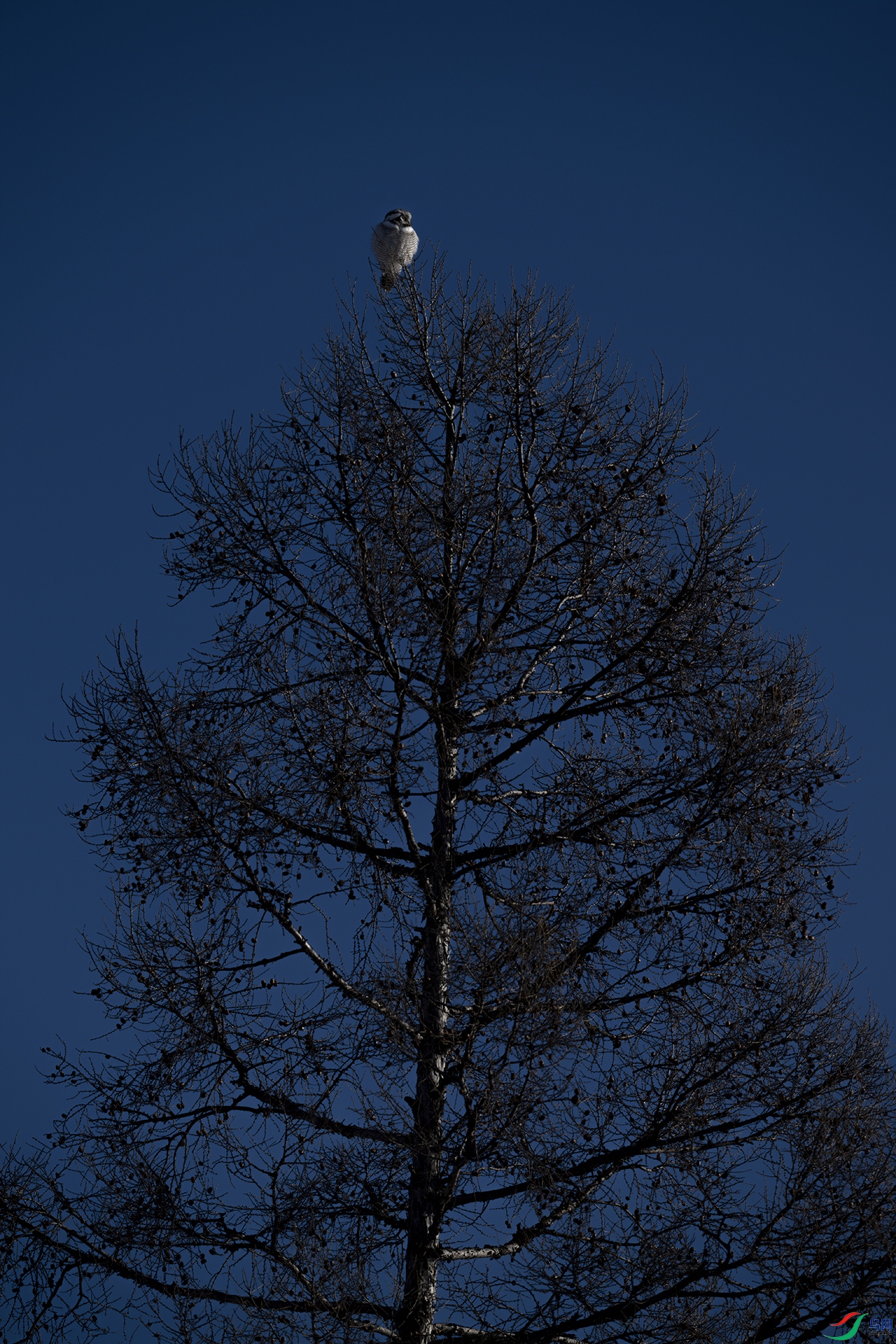 _DSC2637 ����-n=.jpg