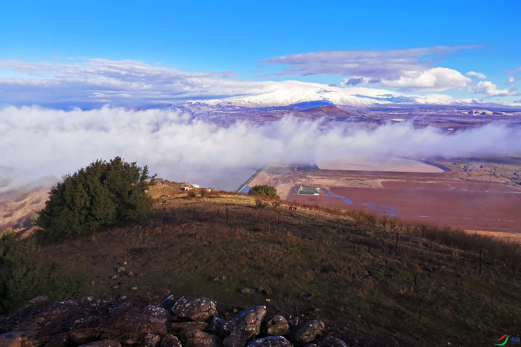 IMG_20200113_083531_.jpg