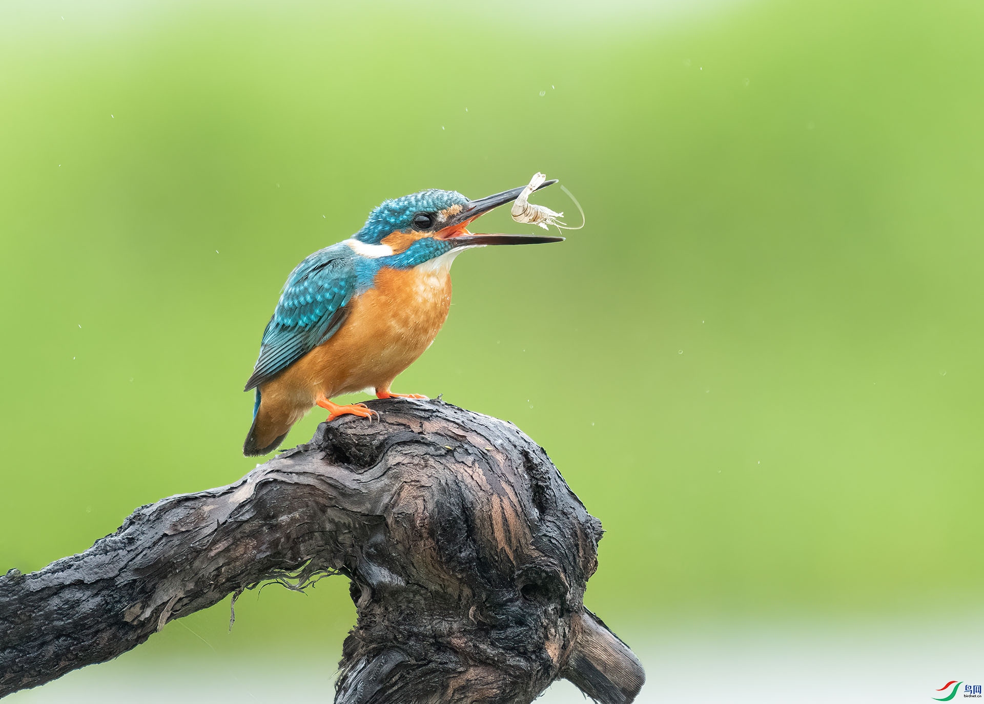 DSC_3404 -1.jpg