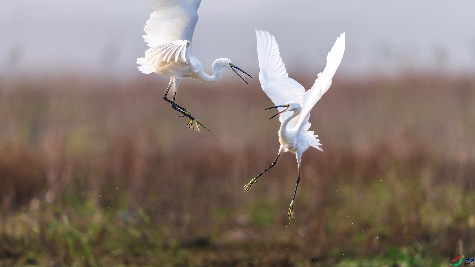 2XXL_7353 ����.jpeg