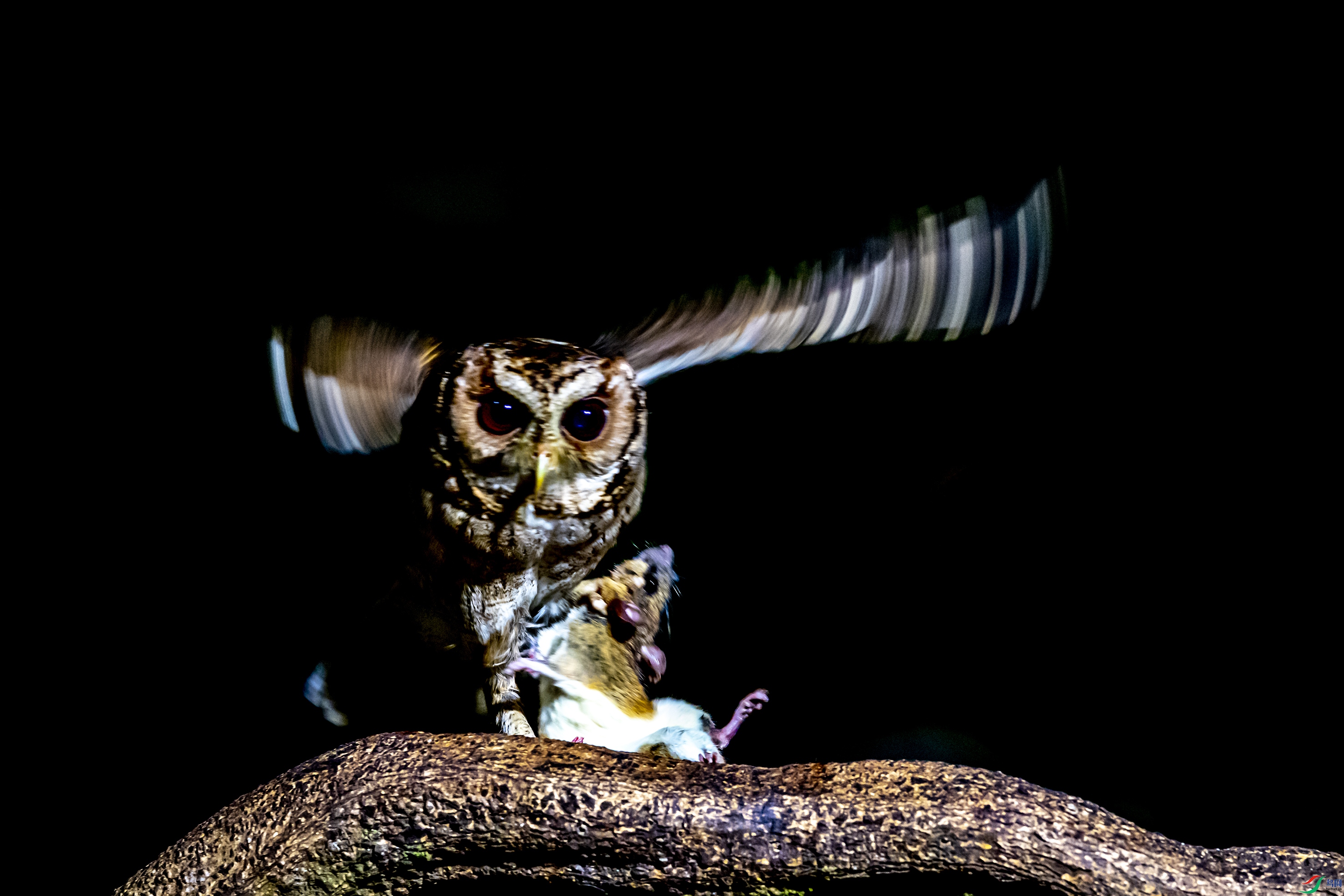 9615 ����.jpg