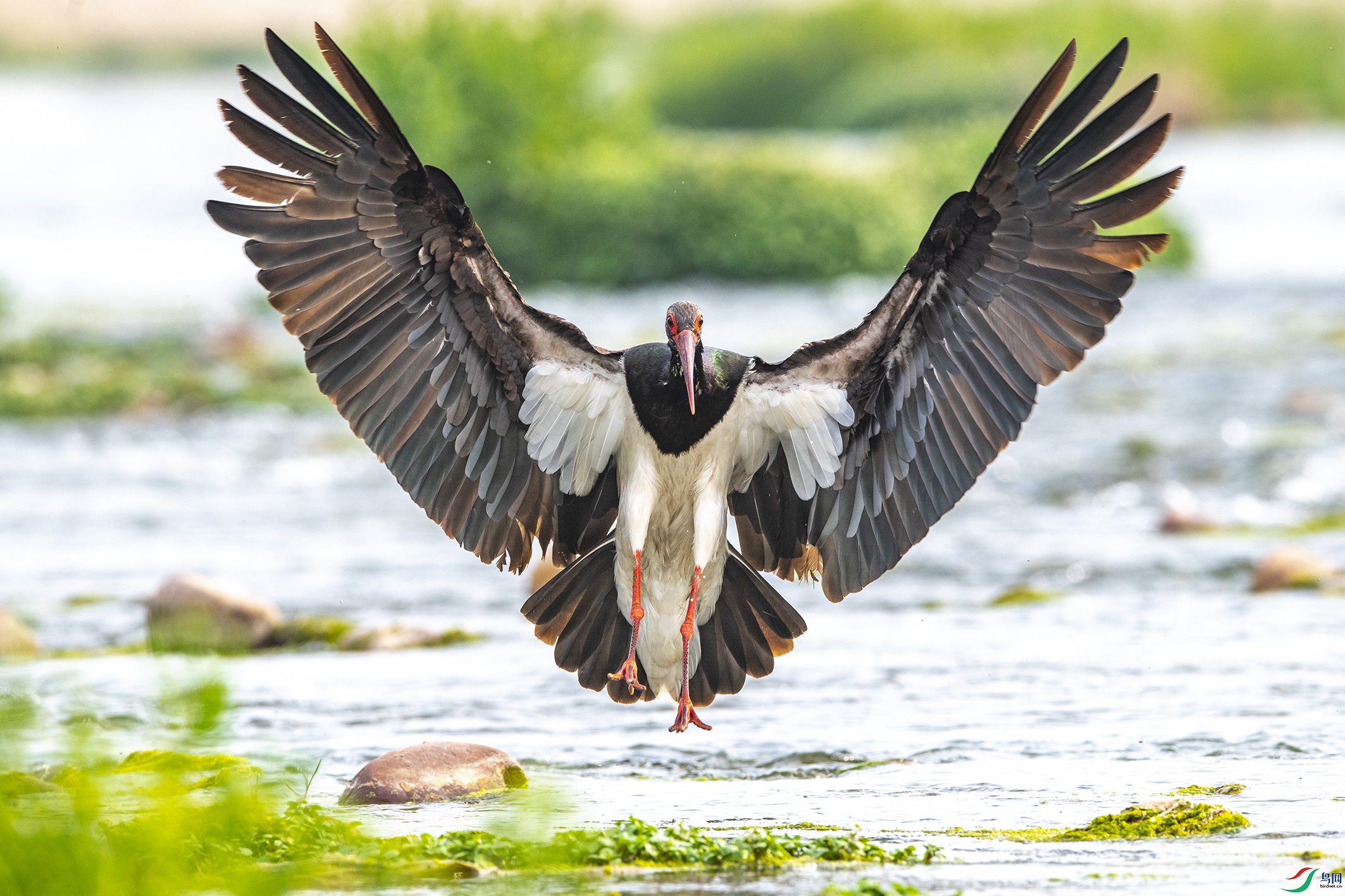 1385 ����.jpg