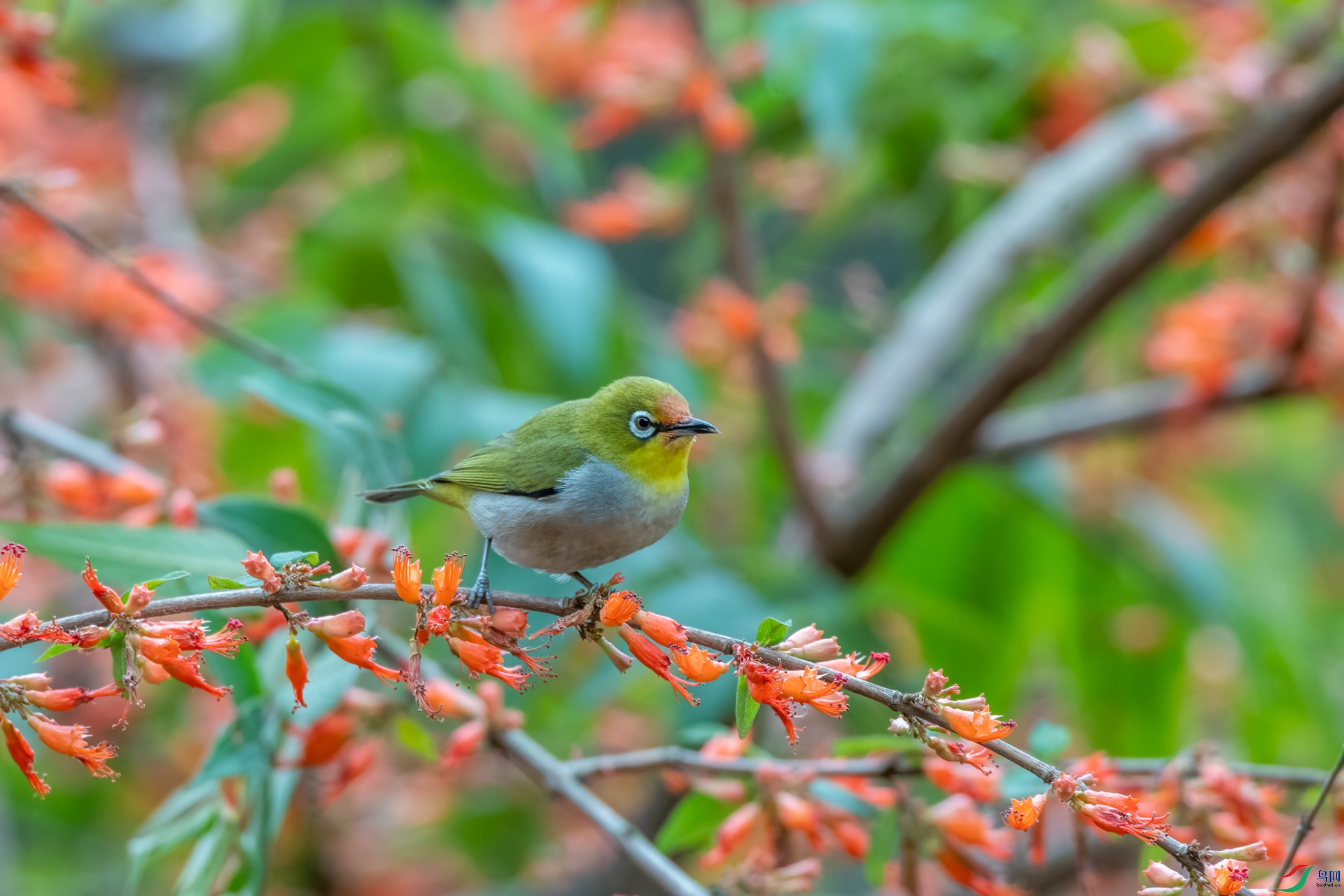 DSC_5537.jpg