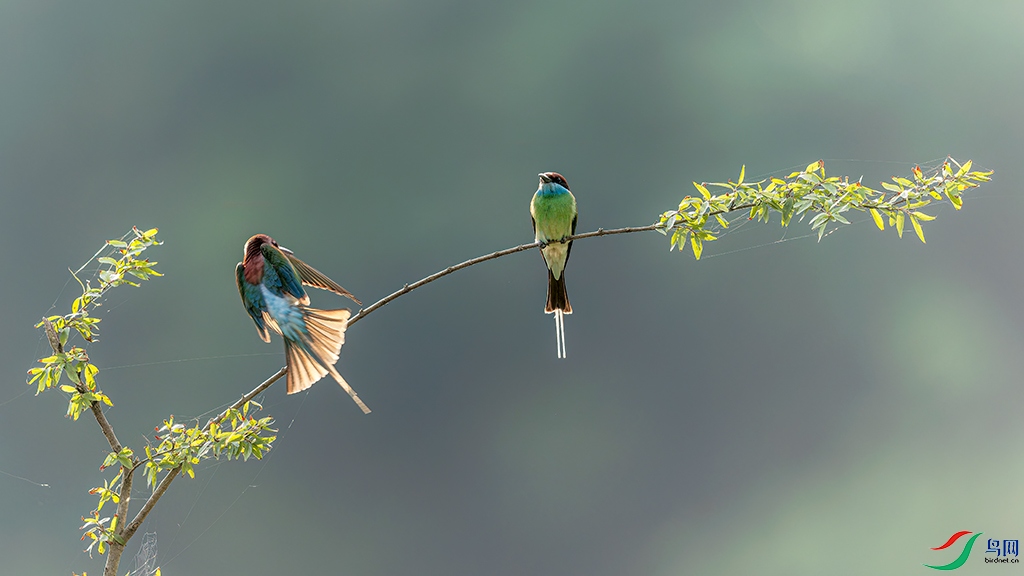 hbhaR230623 (265)_DxO.jpg