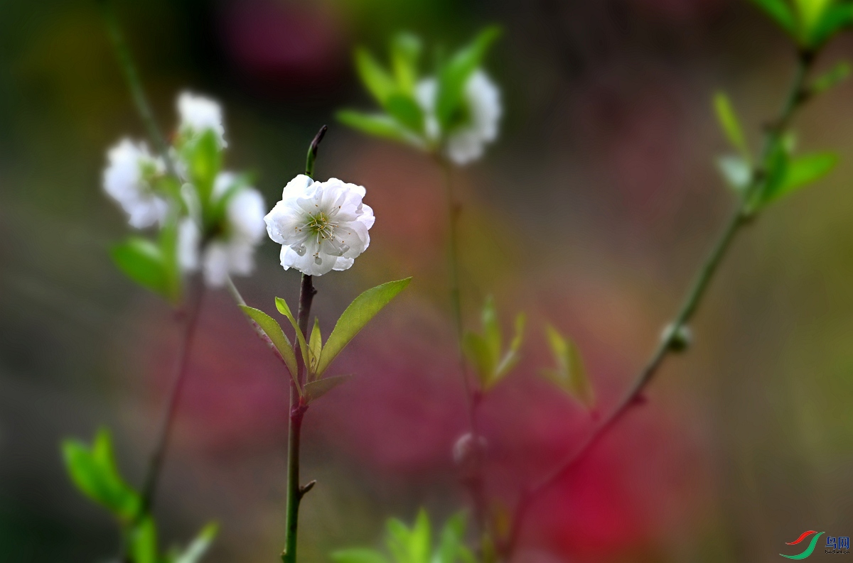 DSC_1877.jpg