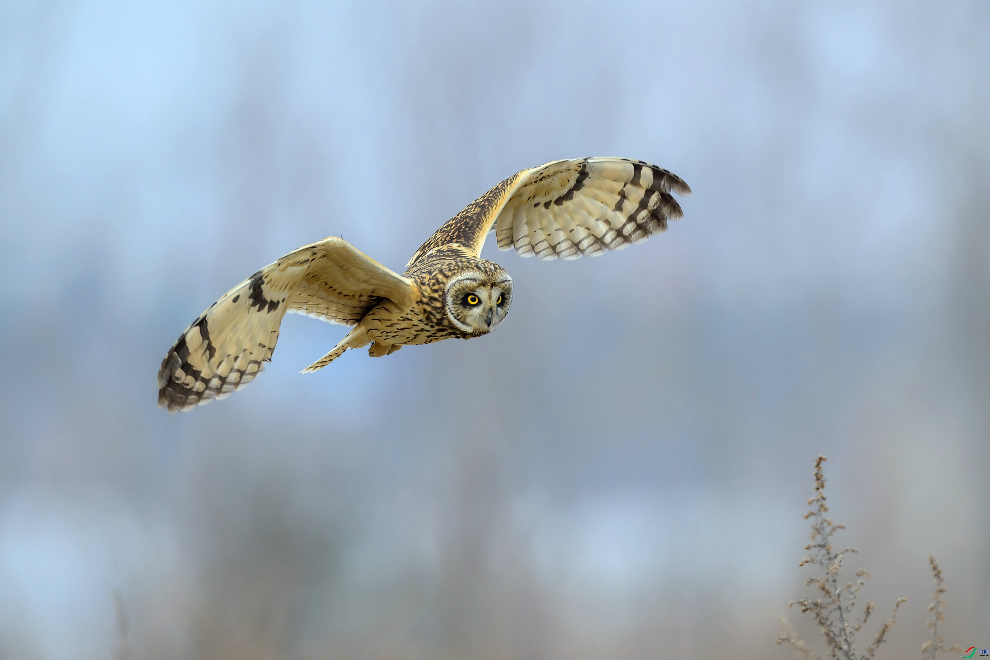 _DSC5371 ����F01.jpg