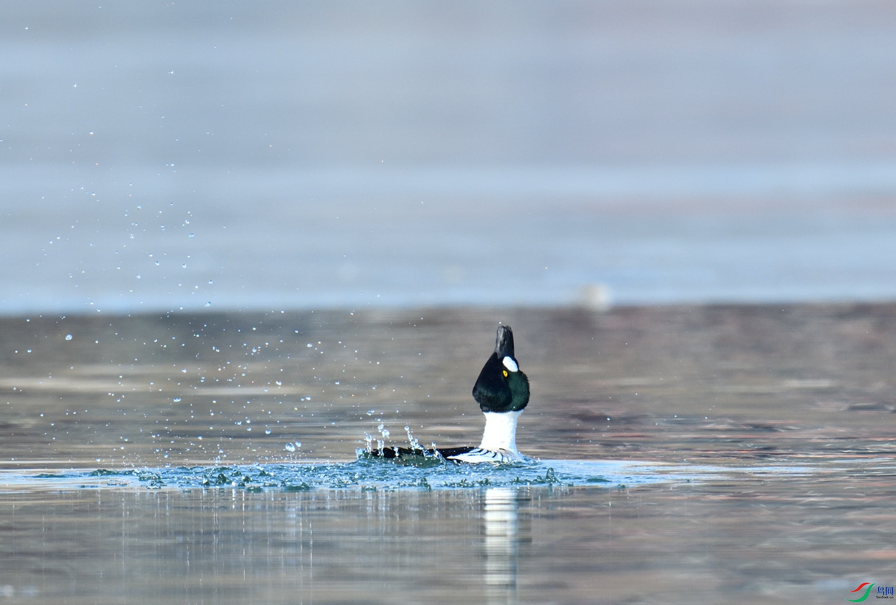 DSC_5044.JPG