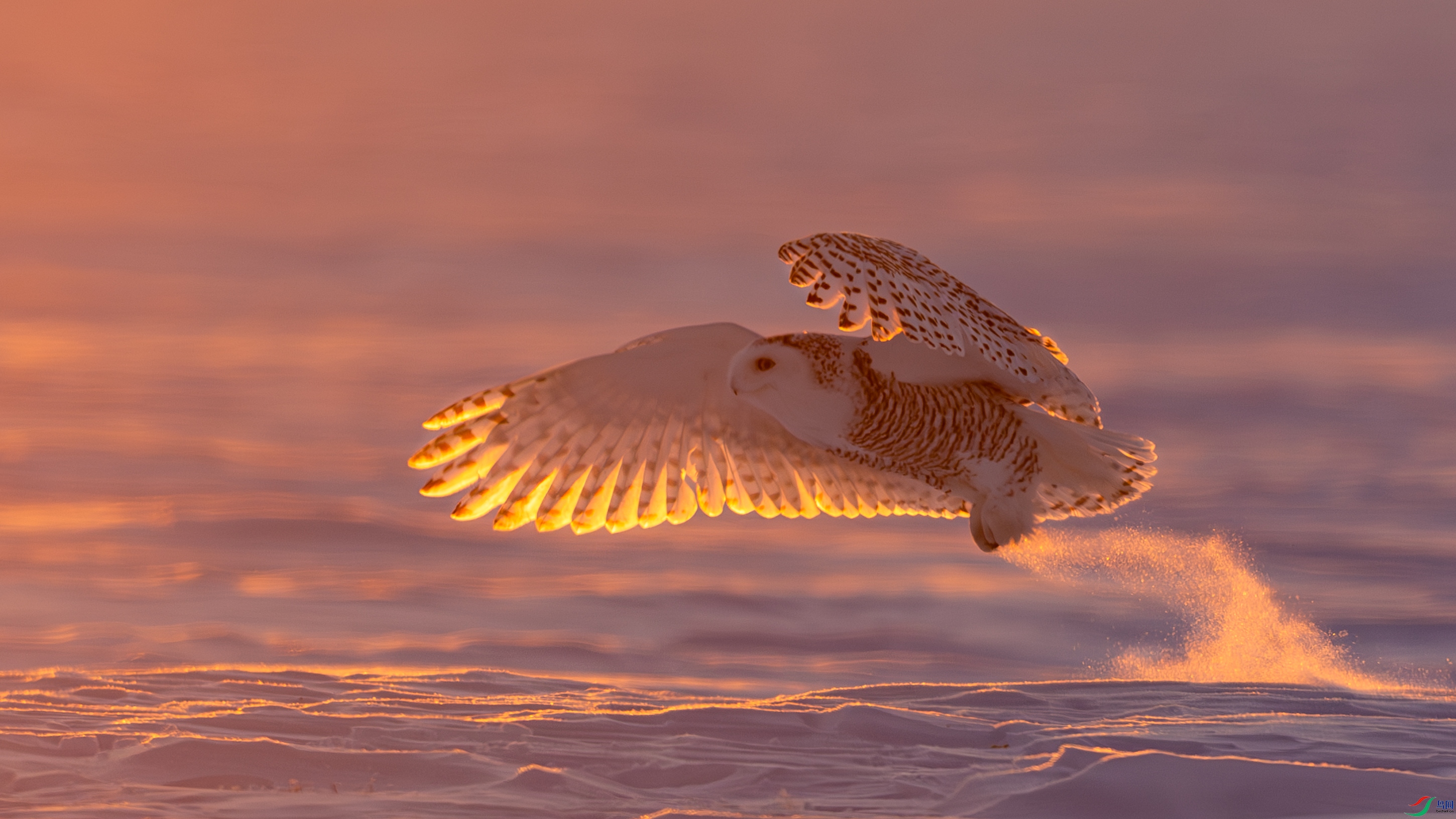 0P8A7196-����ǿ-NR.jpg