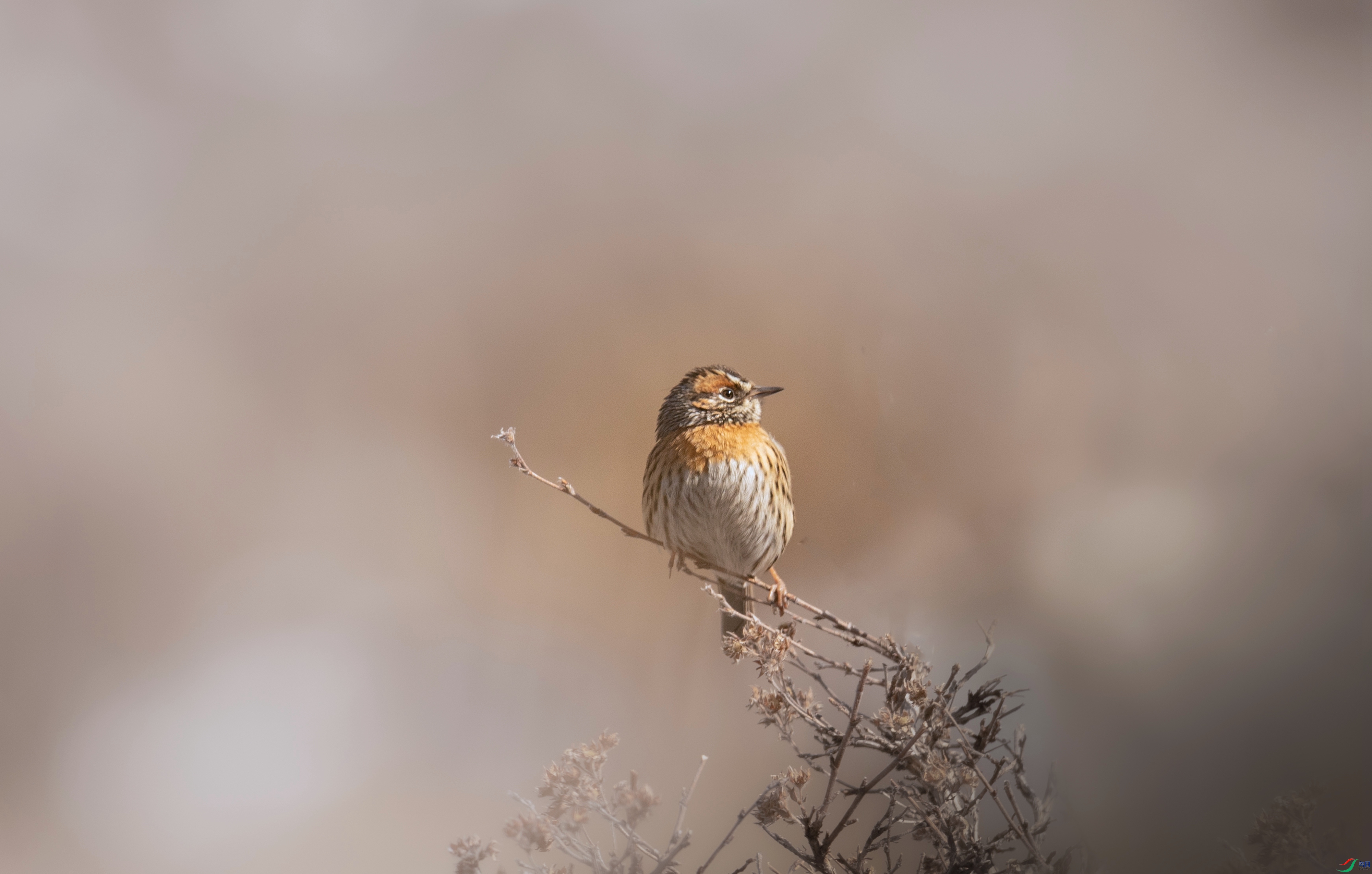 7X5A3598 - ����.jpg