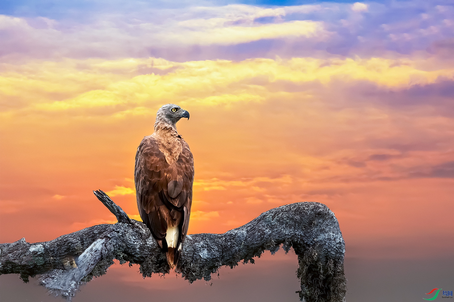 ��ͷ���----Ϧ������˼����