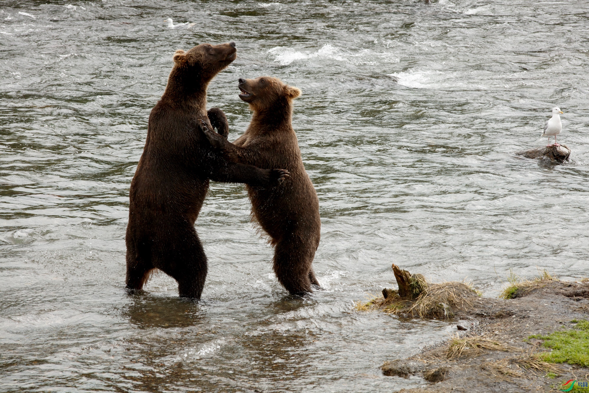 0S9A7747 ����.jpg