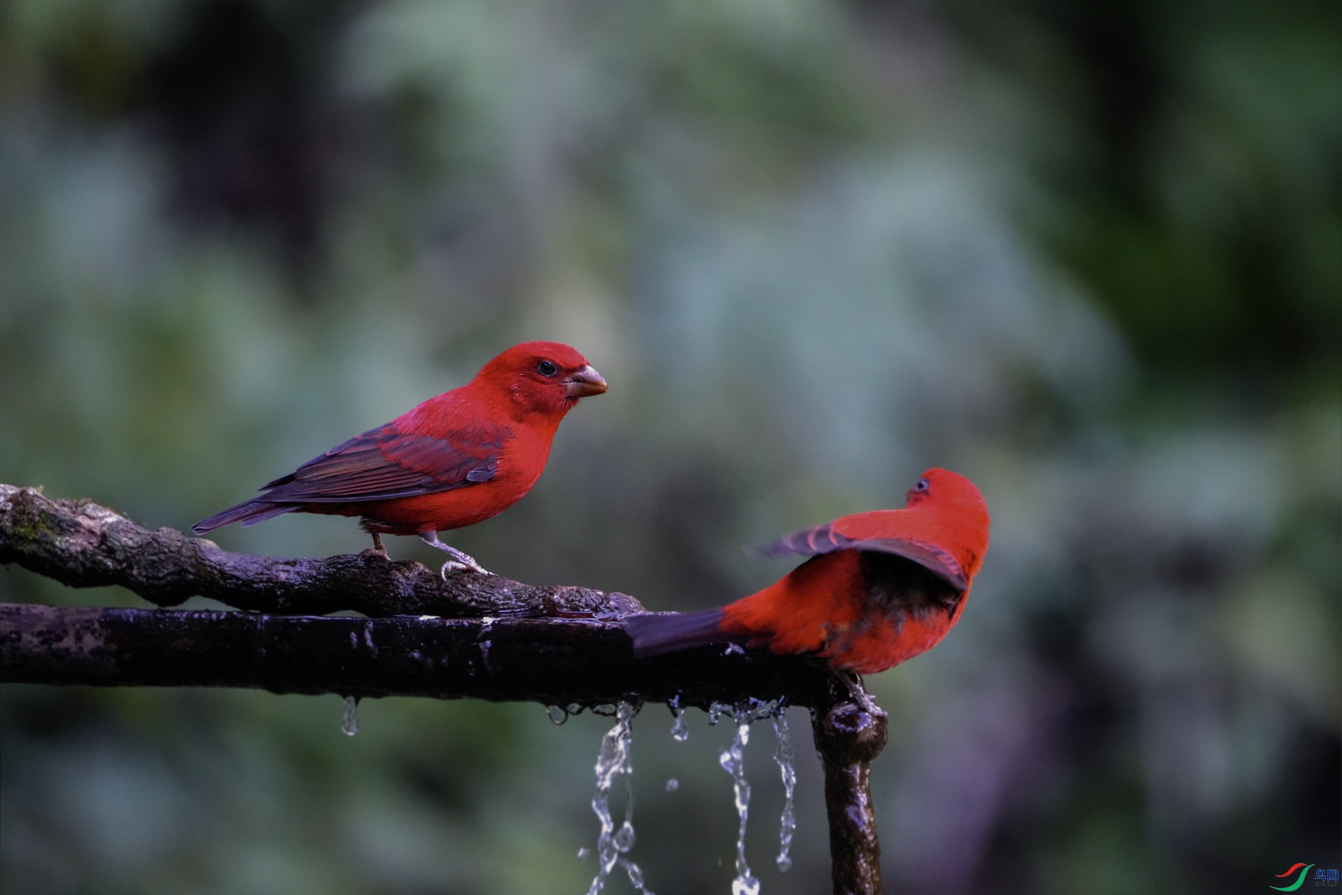 DSC06227 ����.jpg