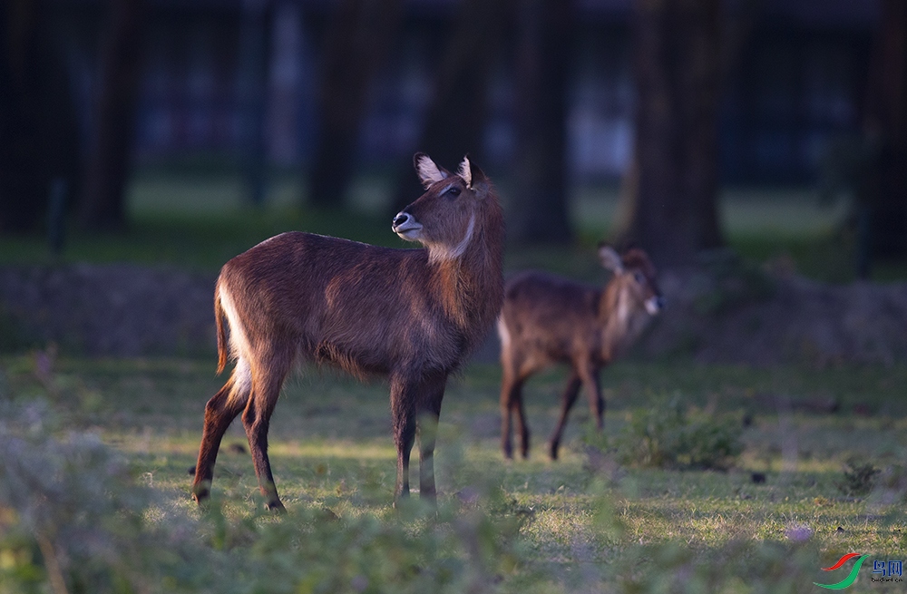 ����[��ˮ�� ](7).jpg