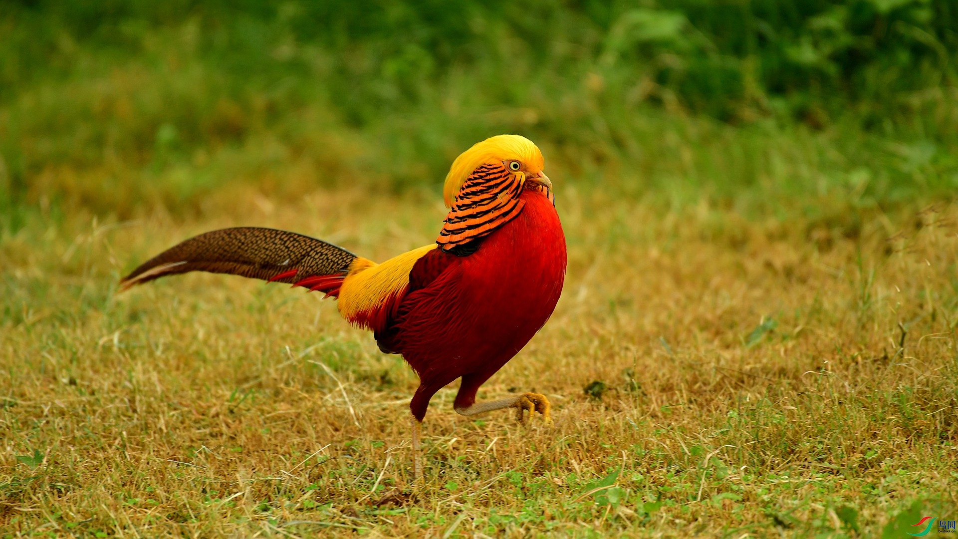 DSC_6649.jpg !_����.jpg