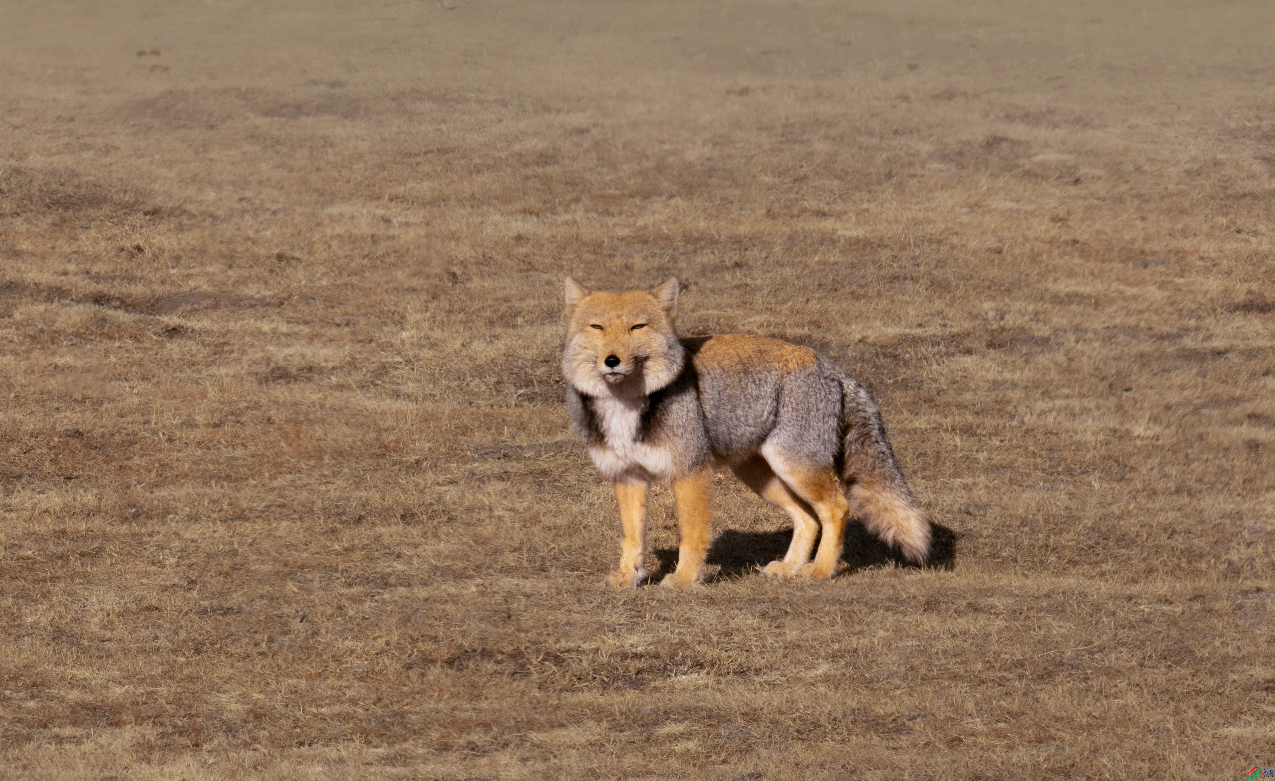 7X5A8735 - ����.jpg