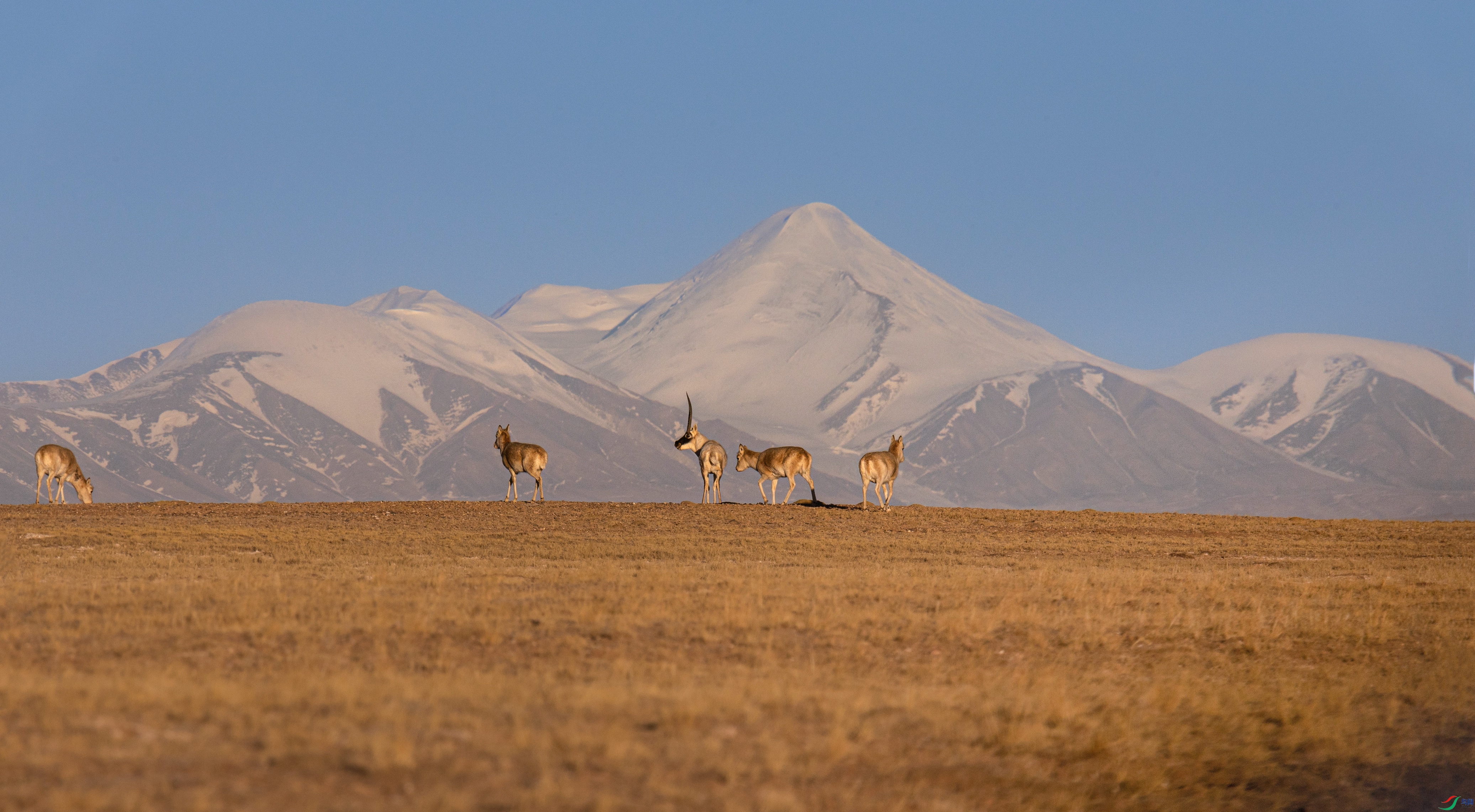 7X5A2980 - ����.jpg