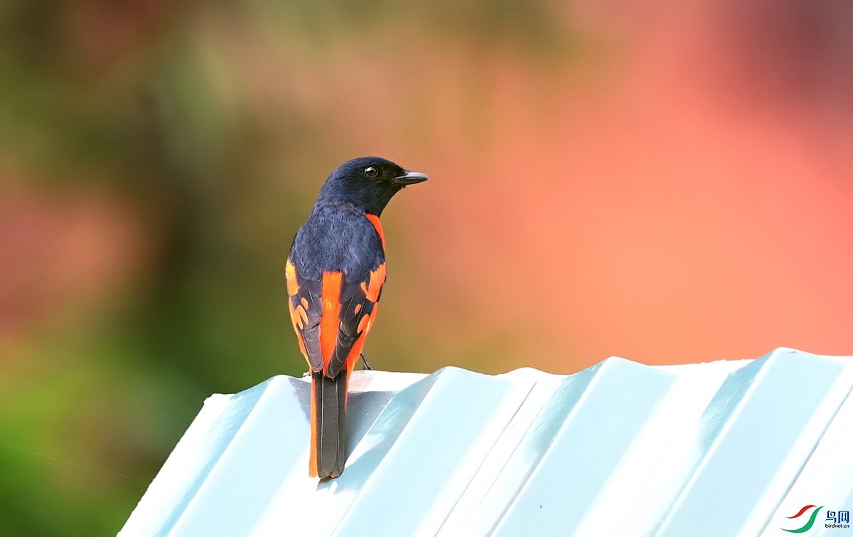 DSC_4092.jpg