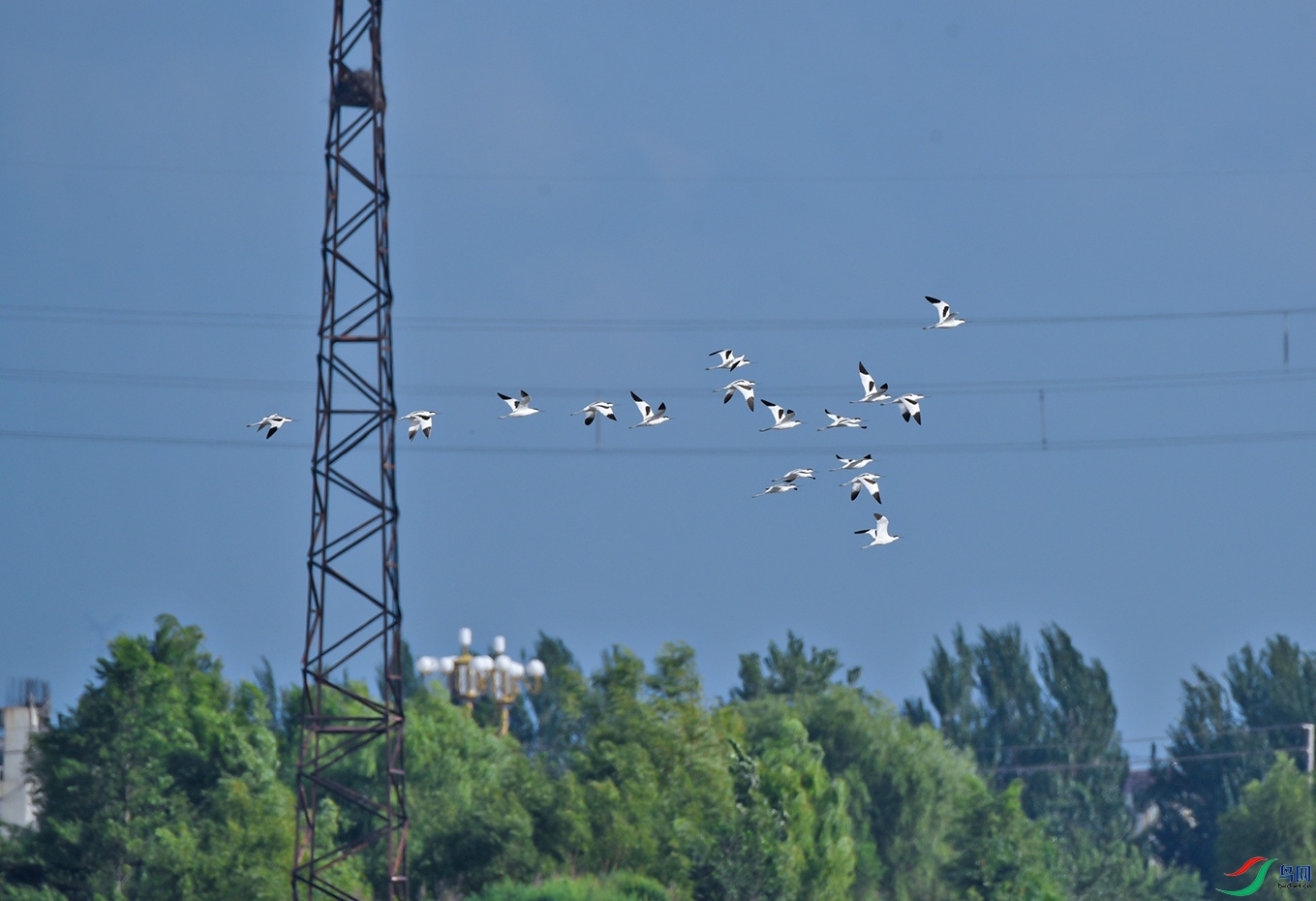 DSC_5724Ⱥ��.jpg