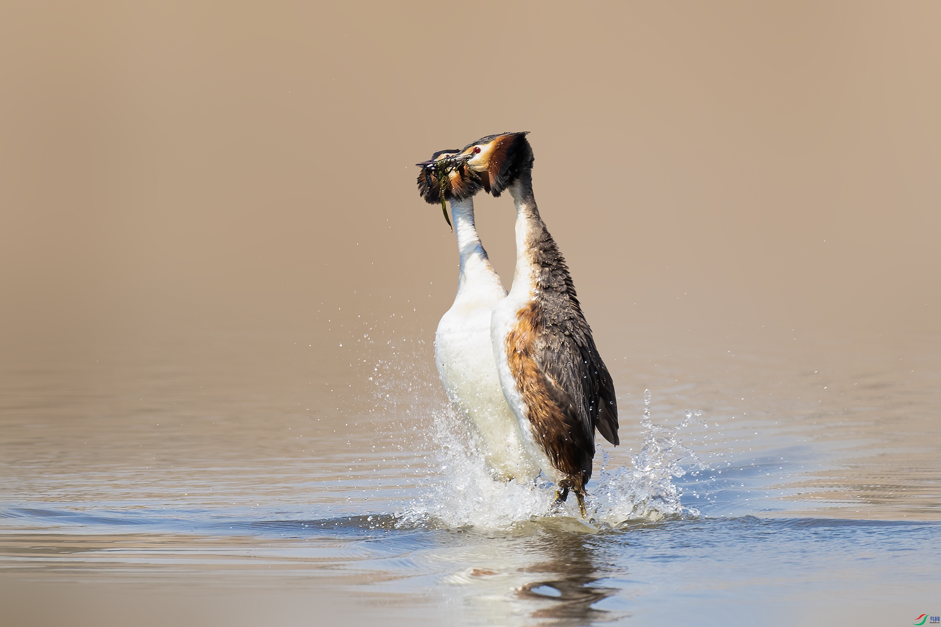 AD1I7670 ����.jpg