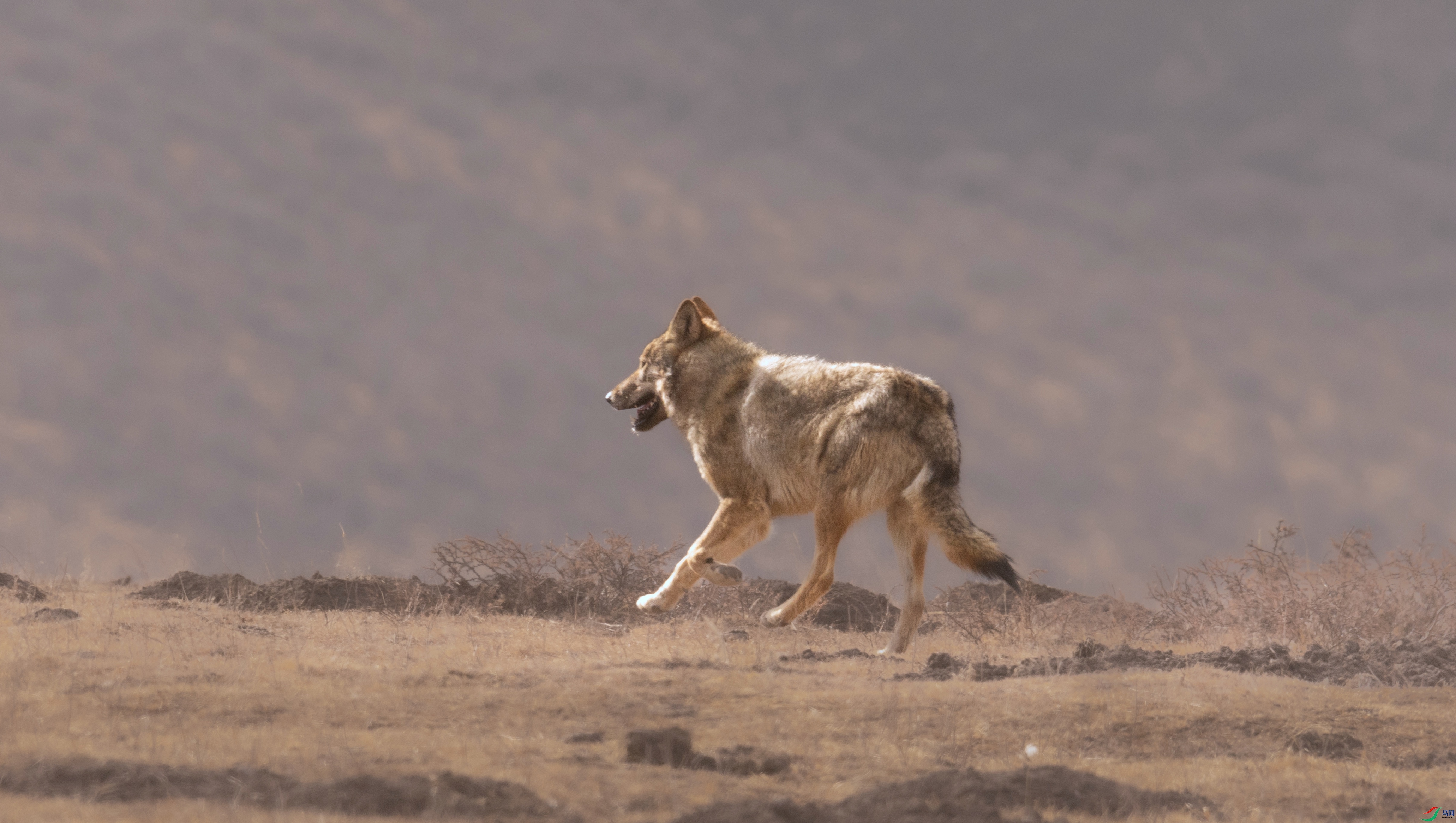 7X5A8940 - ����.jpg