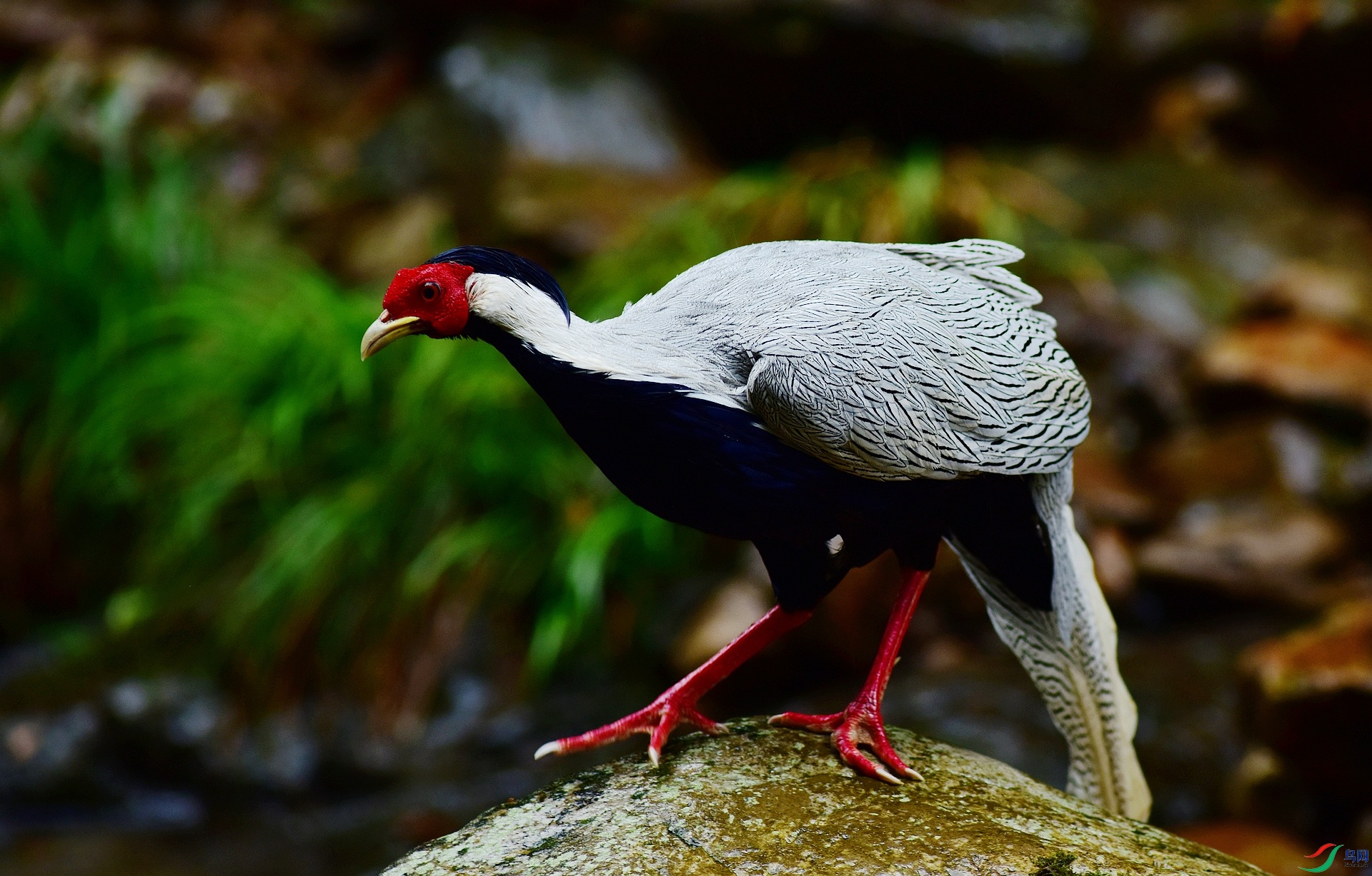 D8I_5608.jpg