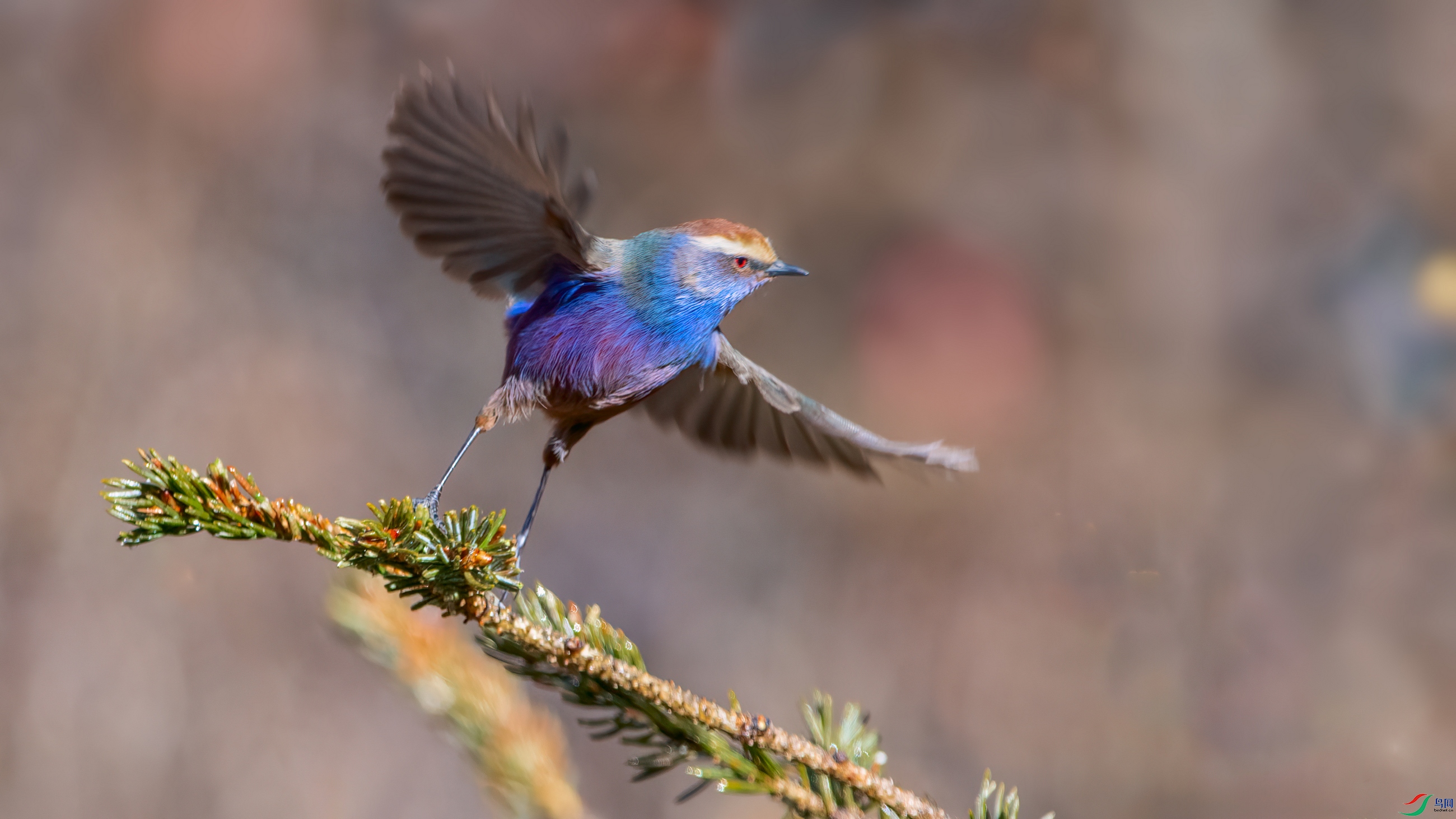 ��Ƭ_DSC9426 ����.jpg