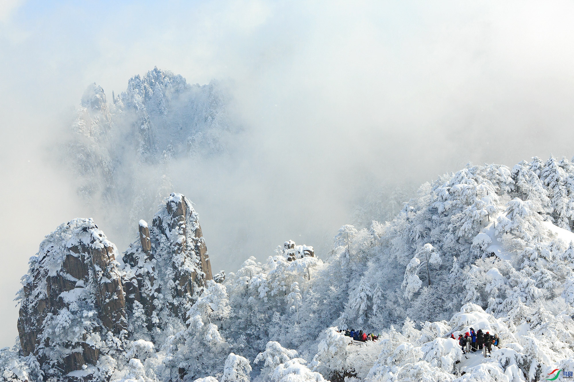 _V4C9757 ����.jpg